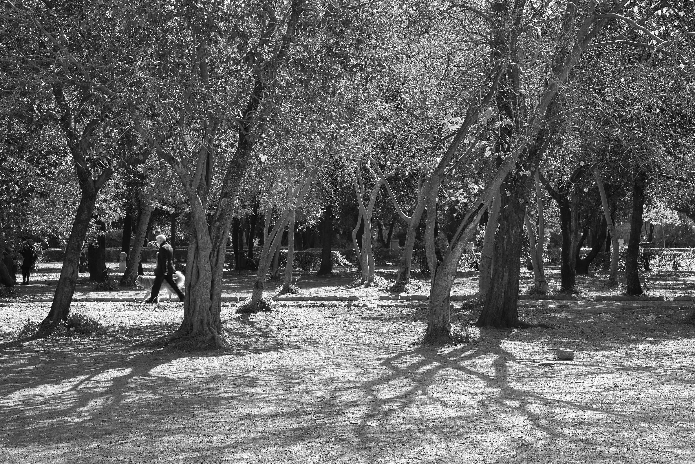 Passeggiata