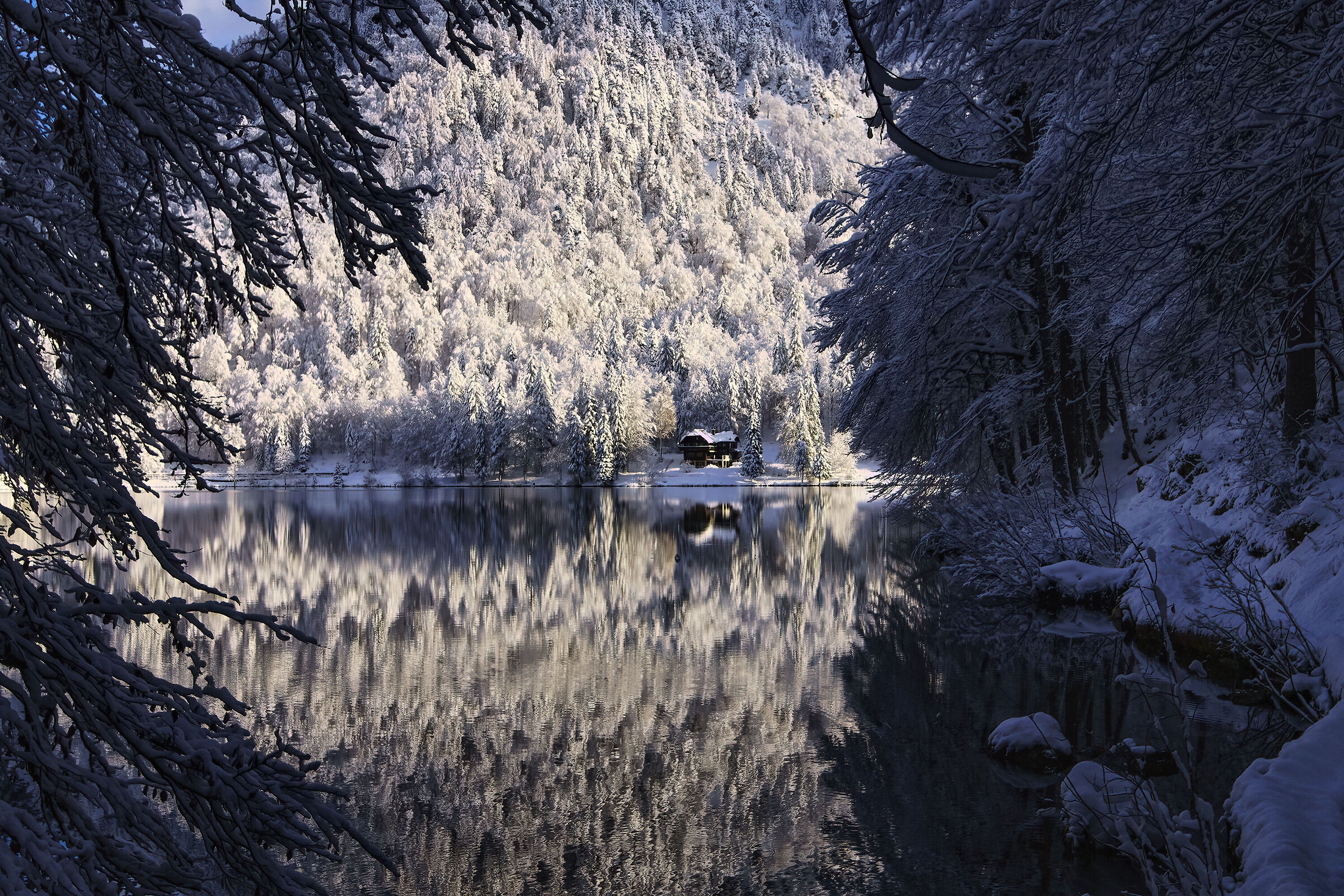 Scorcio al lago di Fusine
