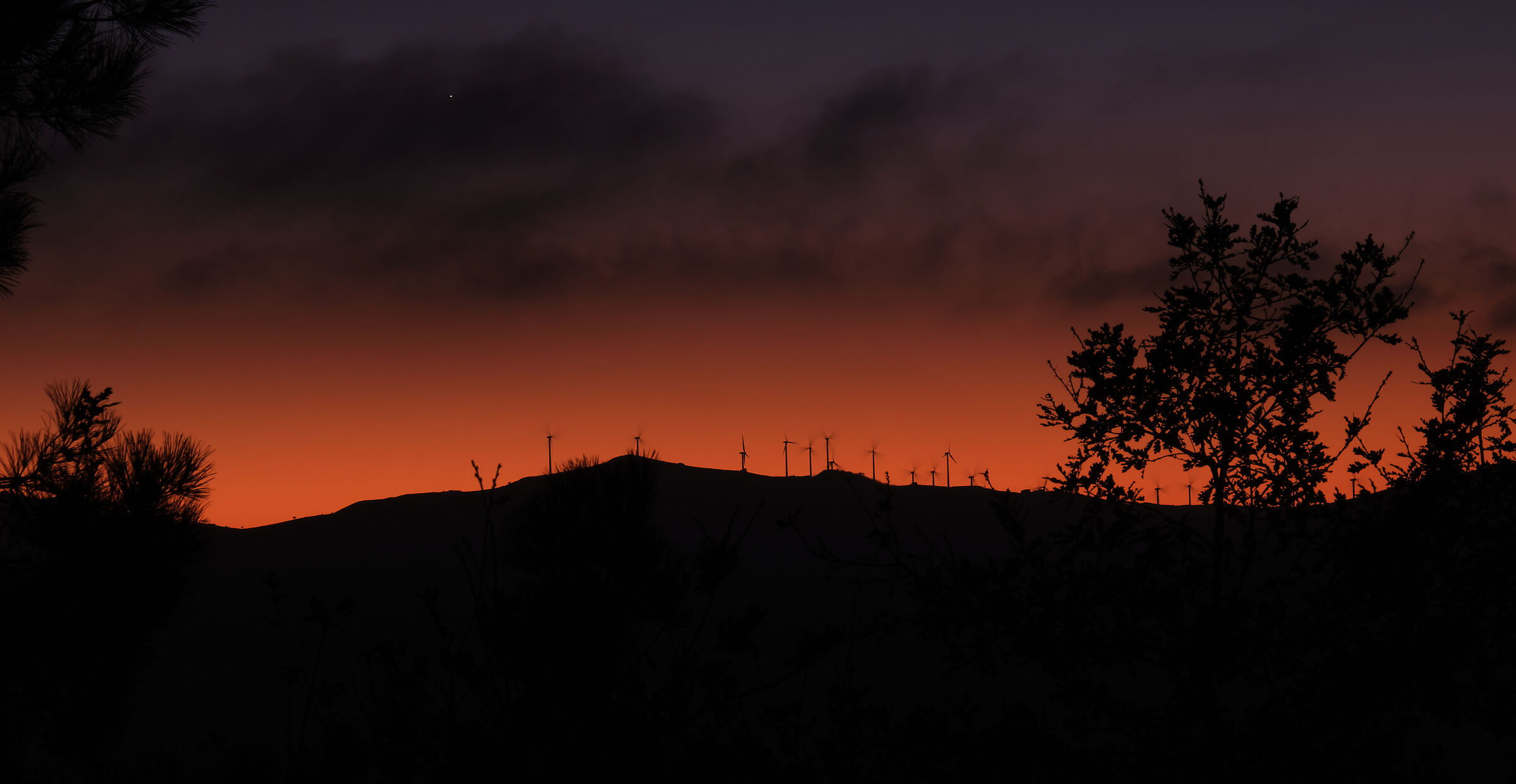 Silhouette