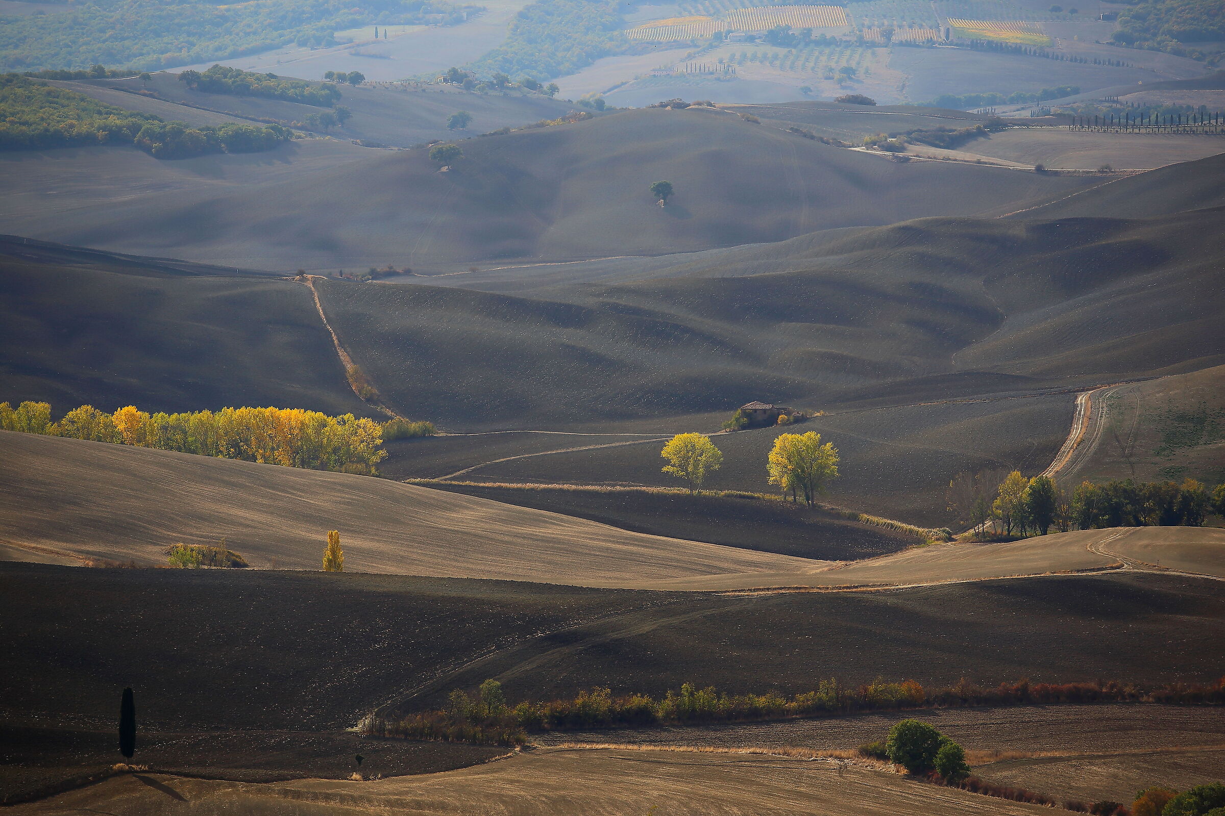 Untitled Photo