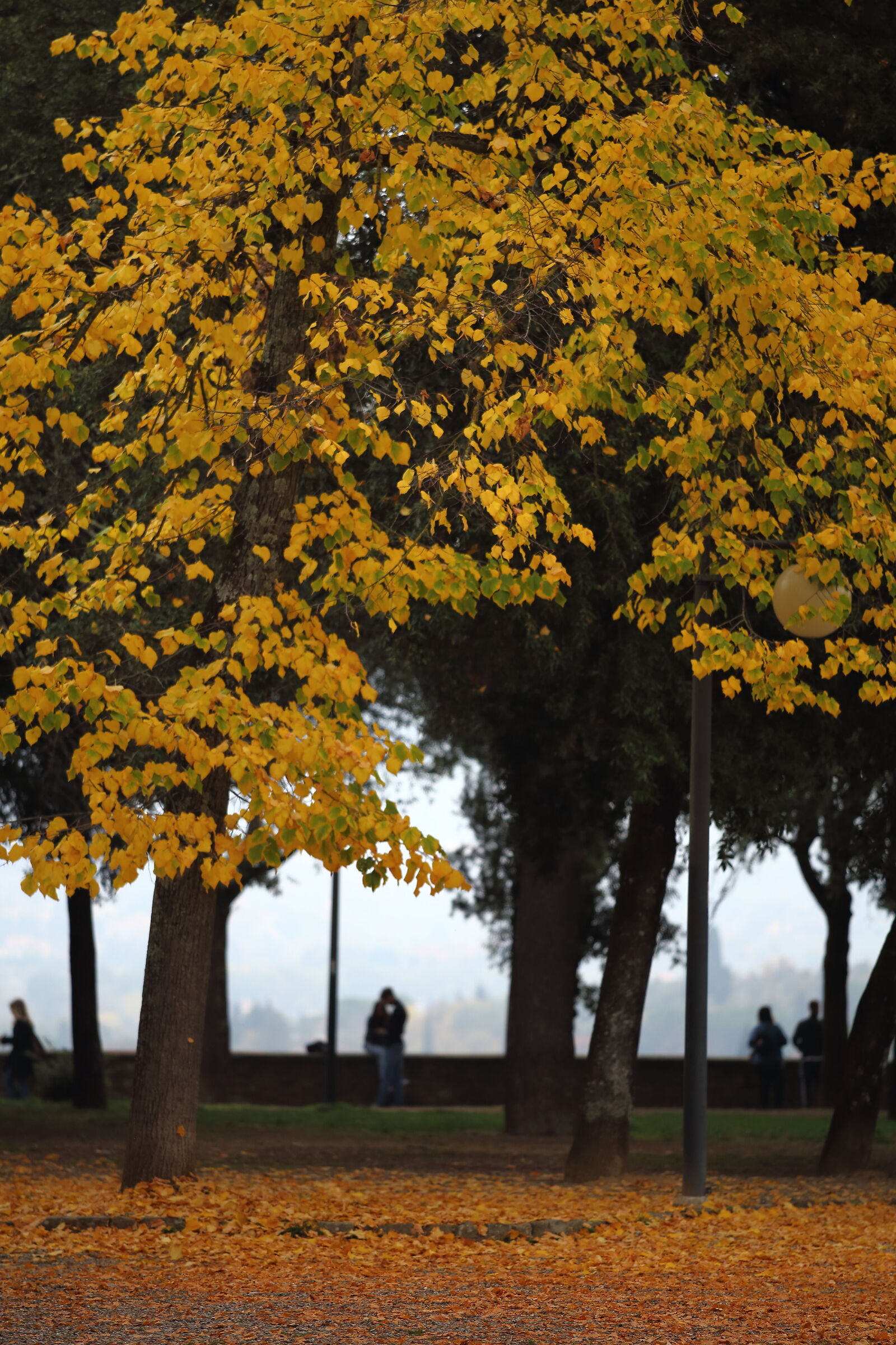 Untitled Photo