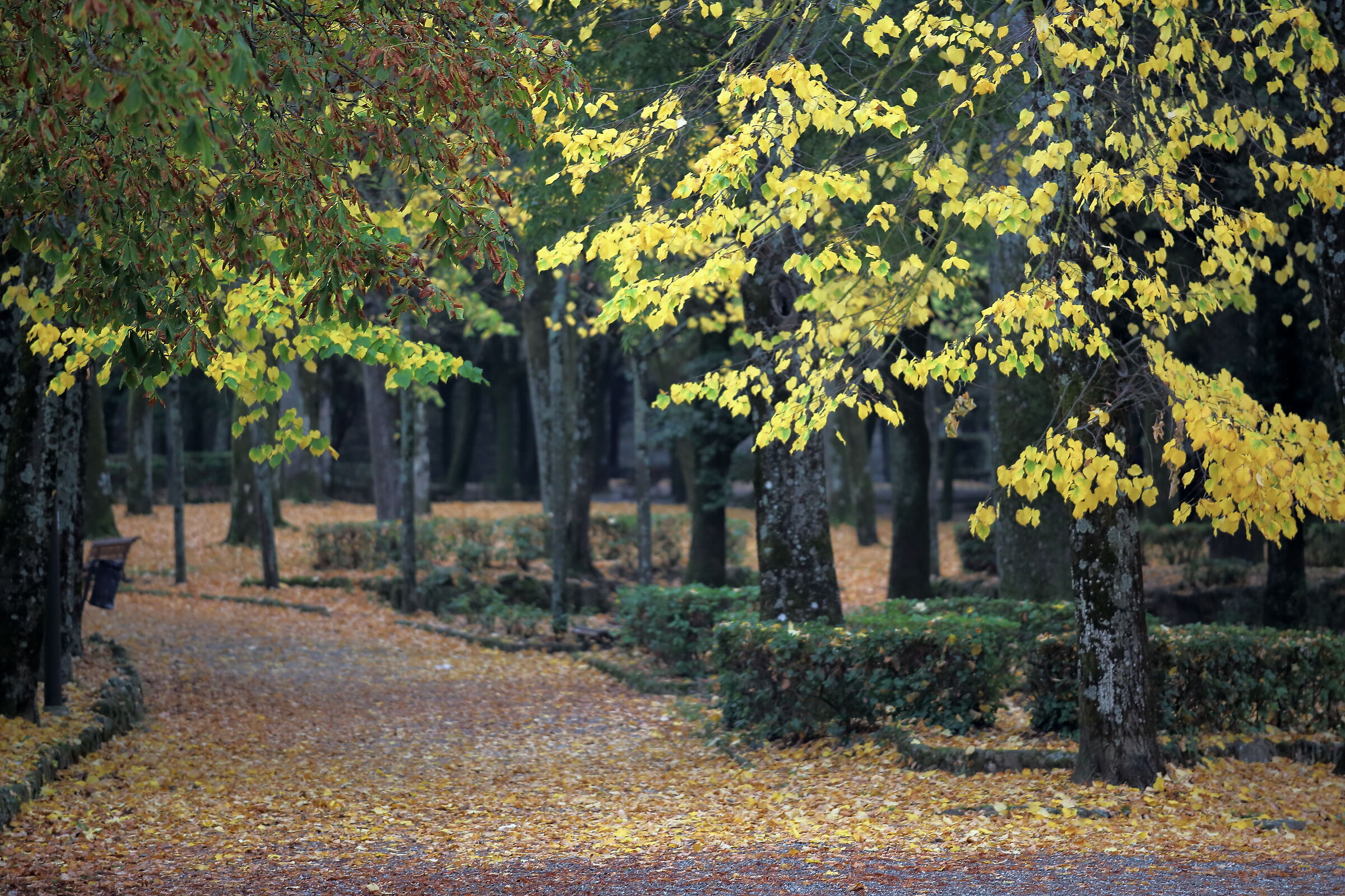 Untitled Photo