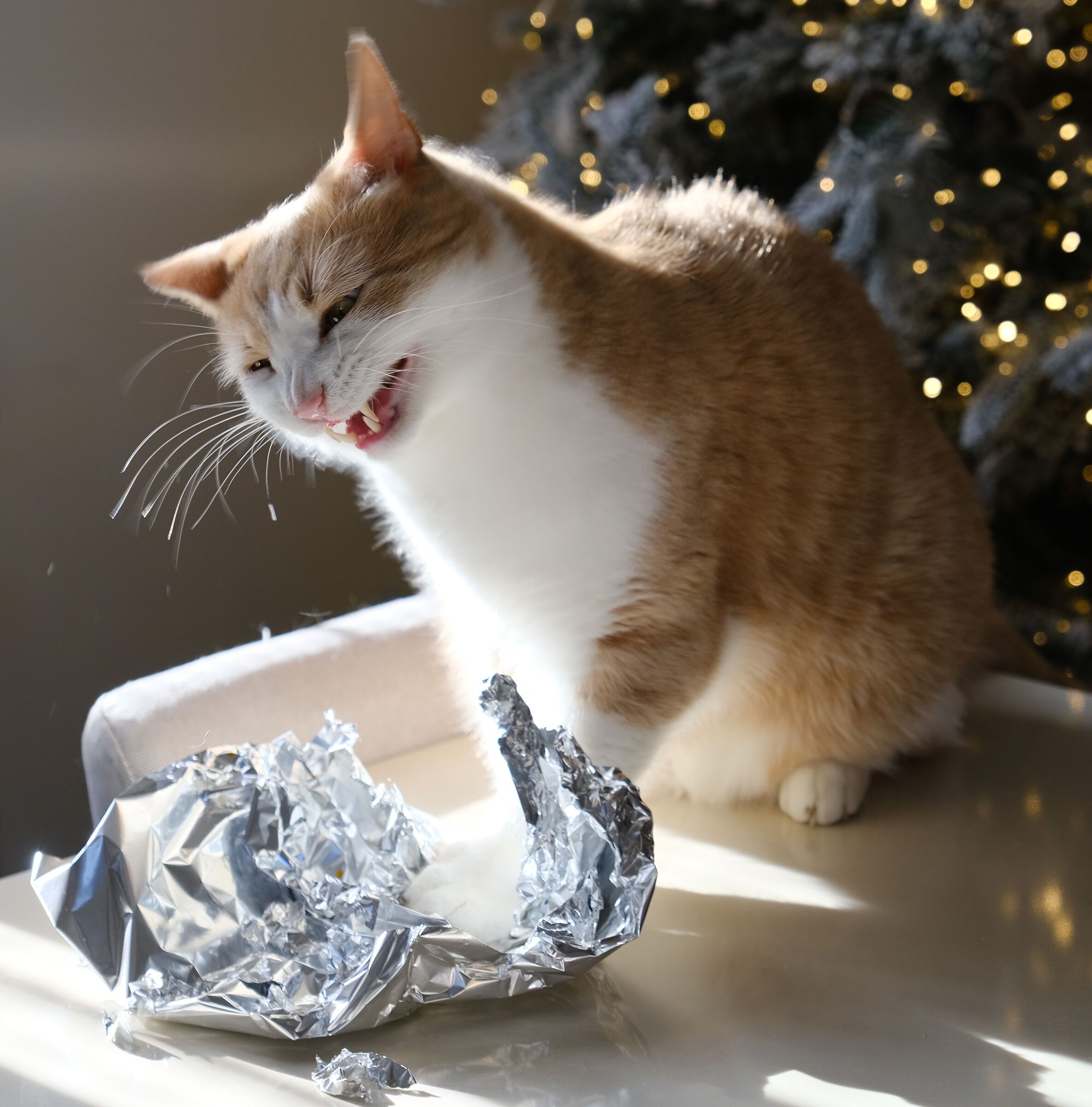 attacco alla stagnola