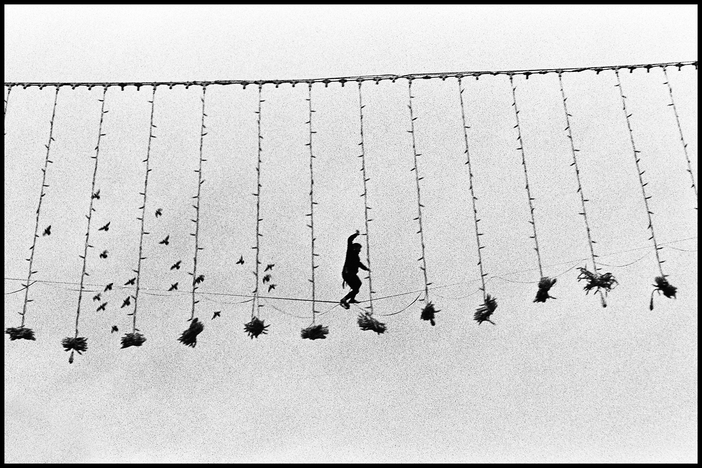 Man dreams of flying