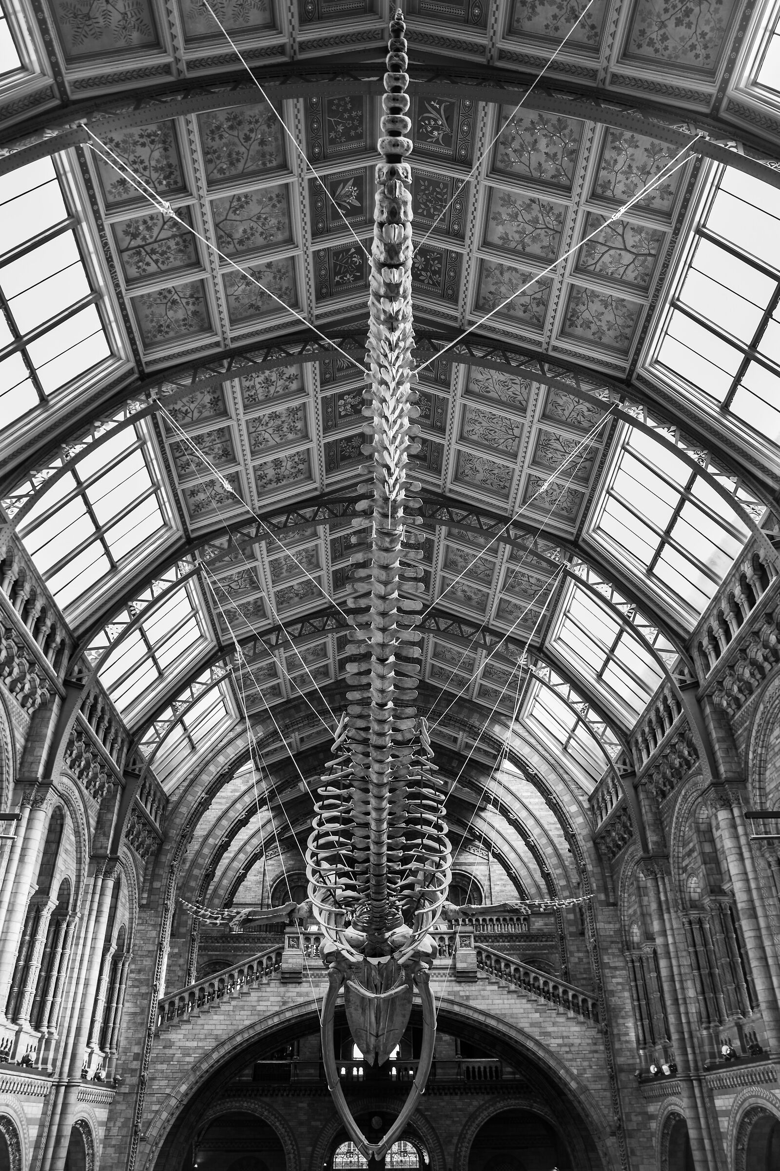 London - Natural History Museum