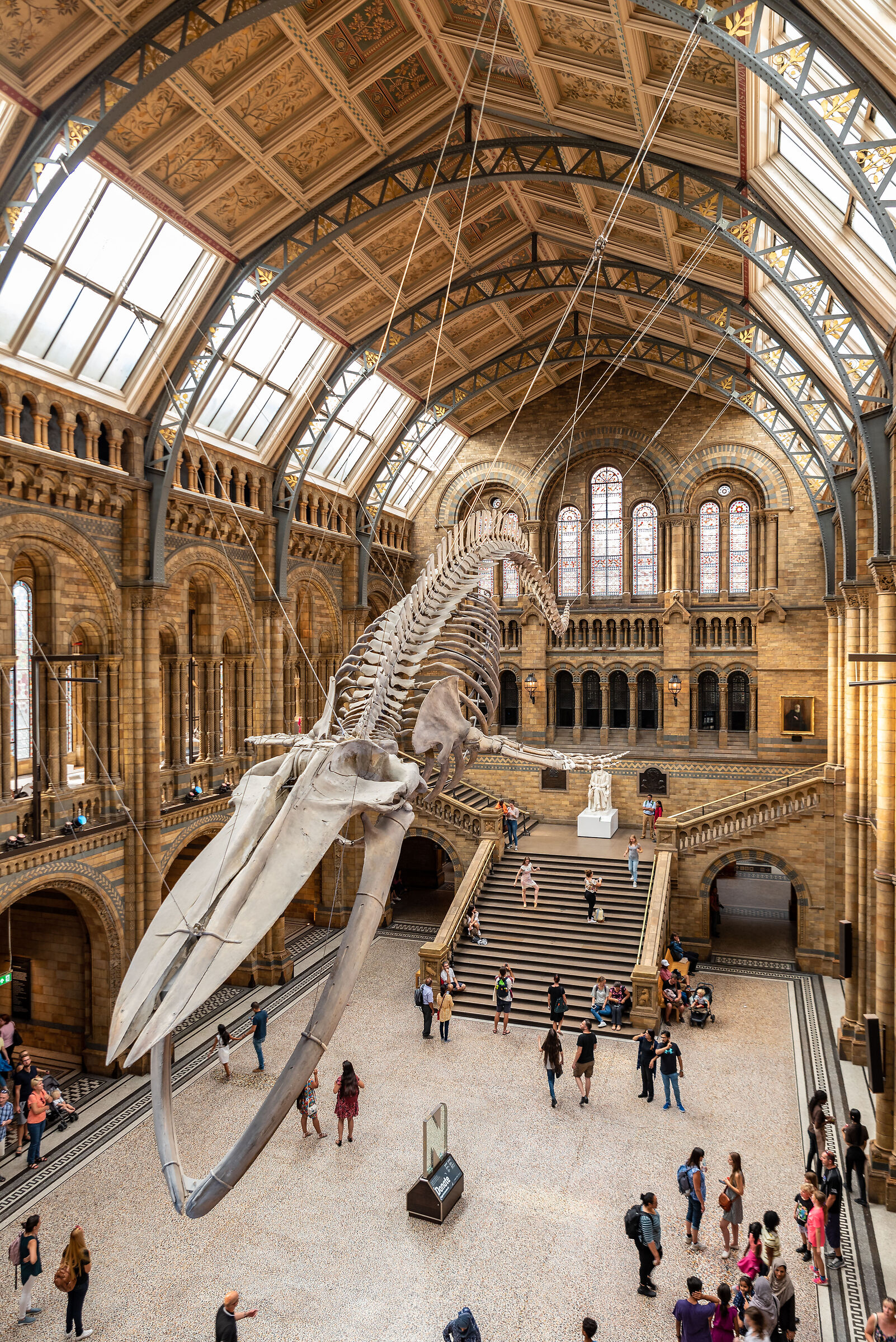 London - Natural History Museum