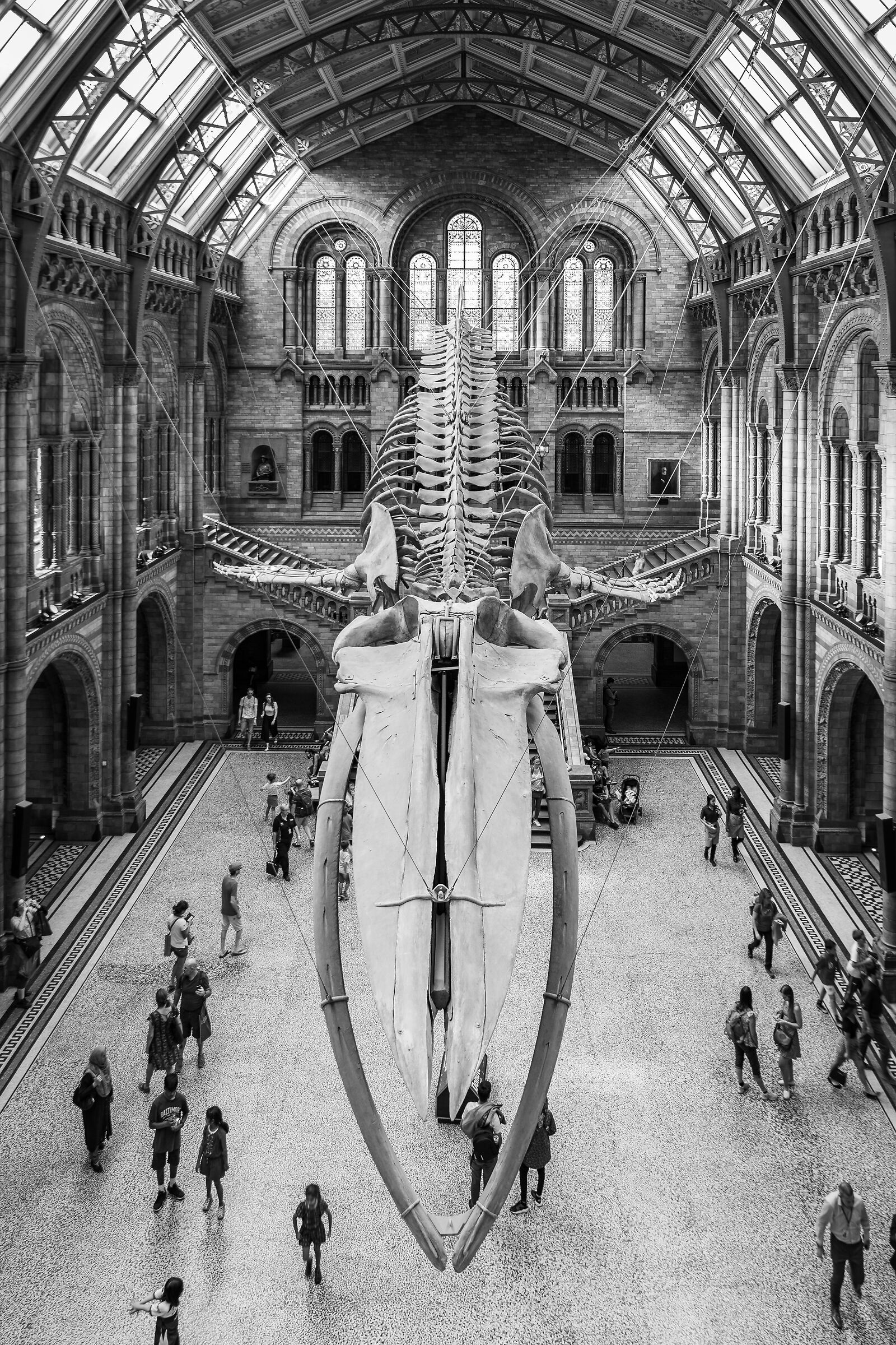 London - Natural History Museum