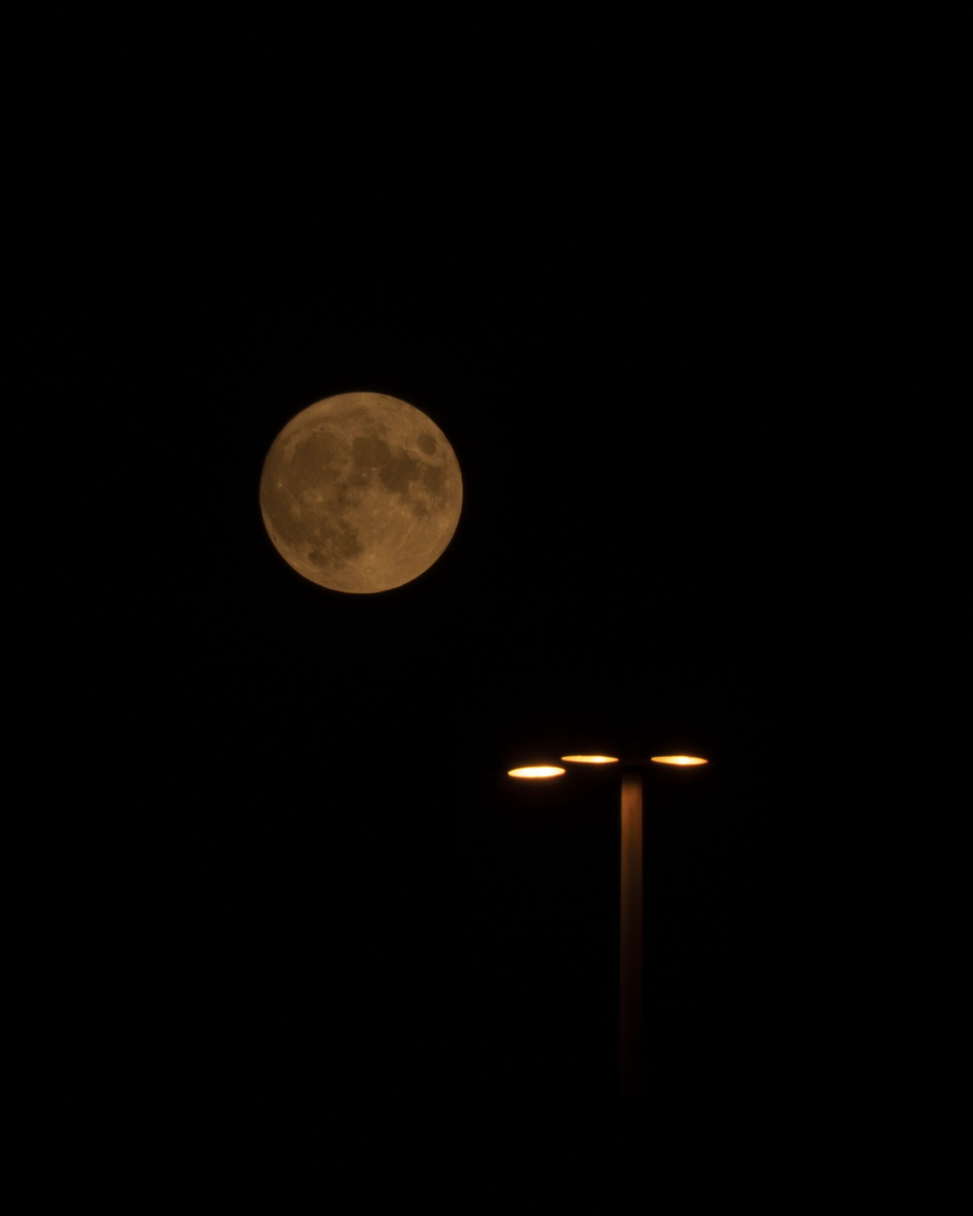 moon and its strange friends