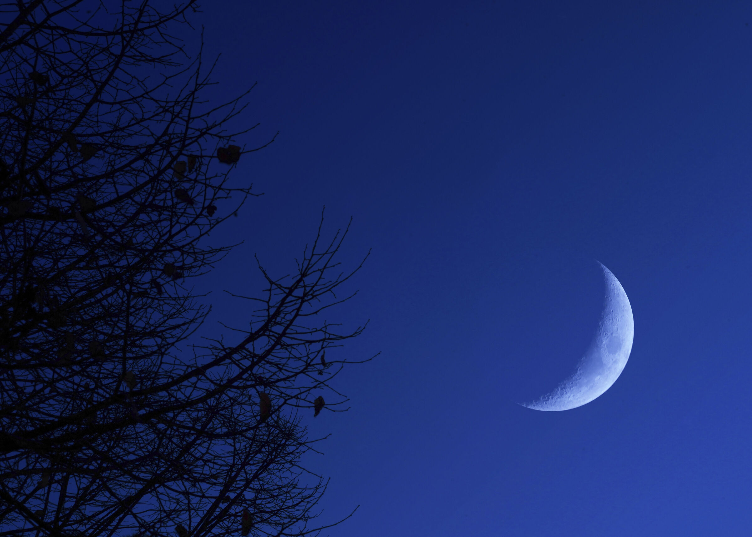 blue black and white