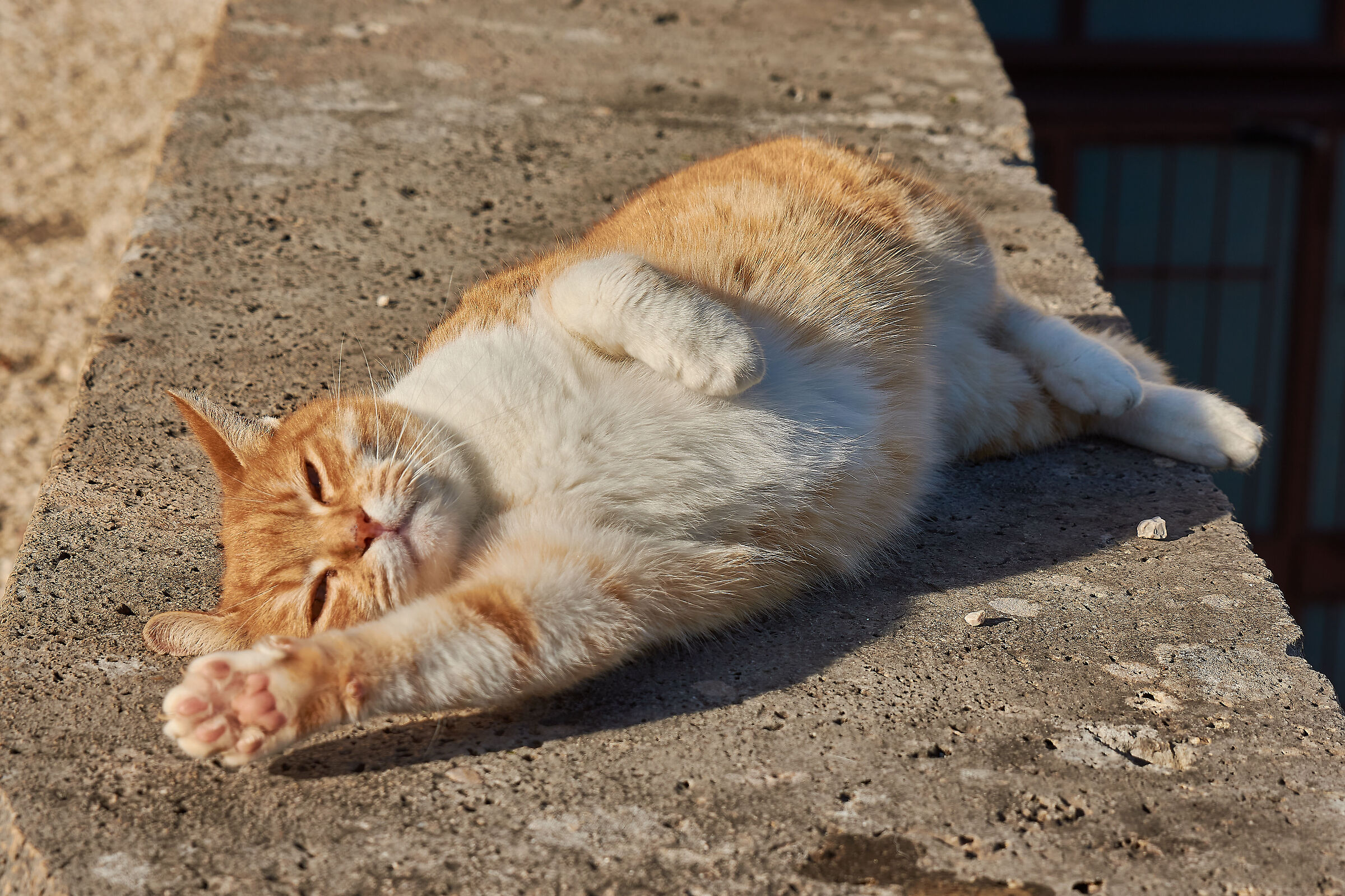 Give me five....