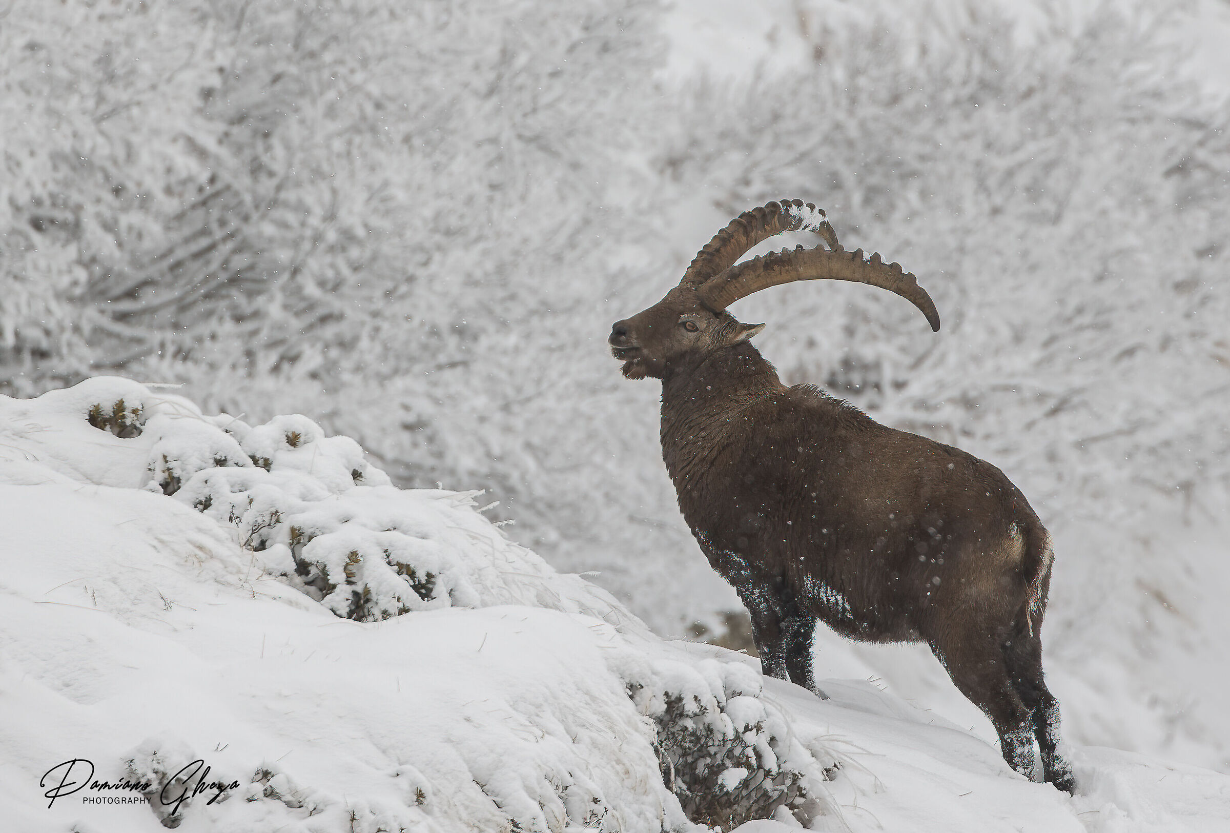 When it was still snowing