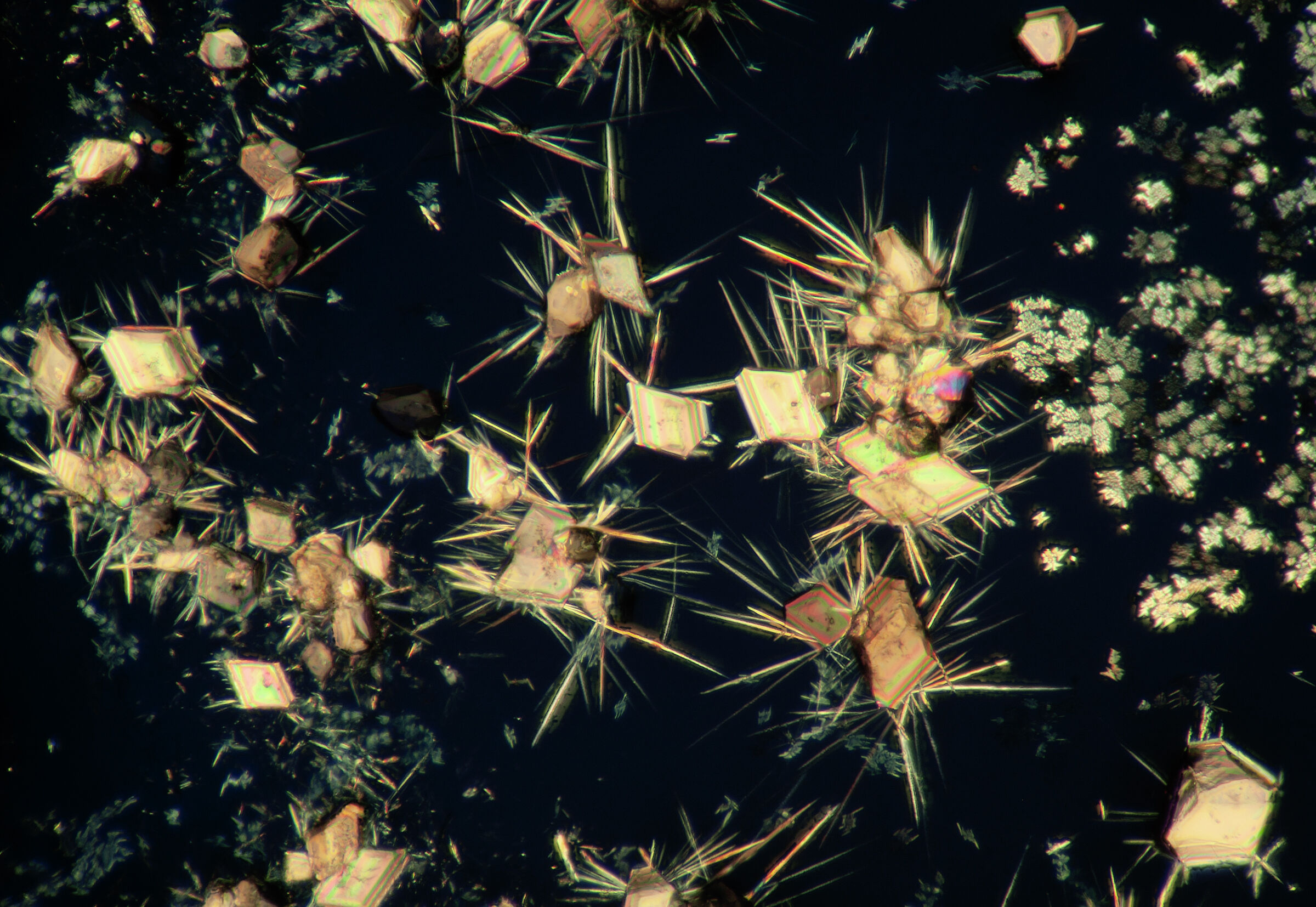 Paracetamol crystals in water