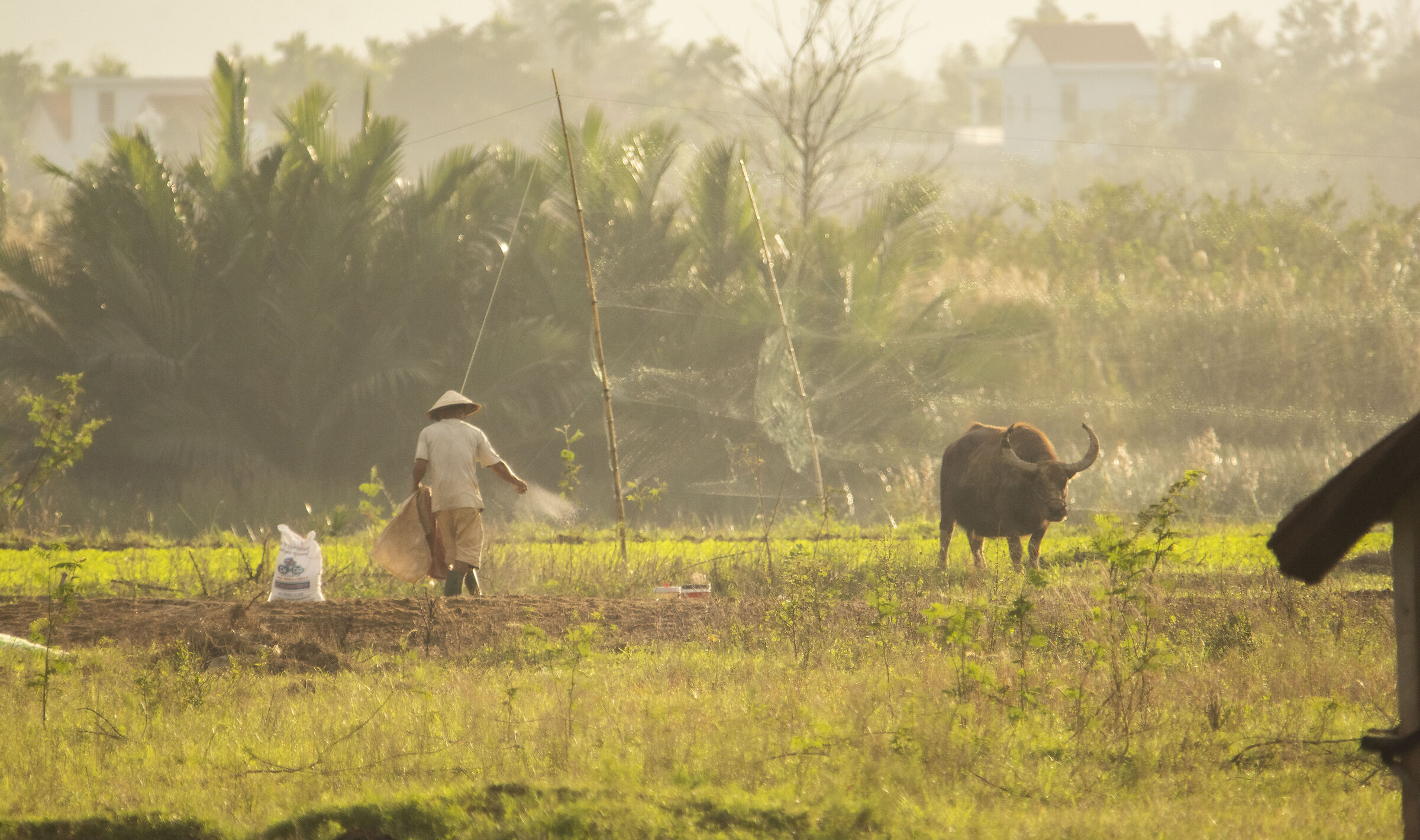 Countryside life - Vietnam