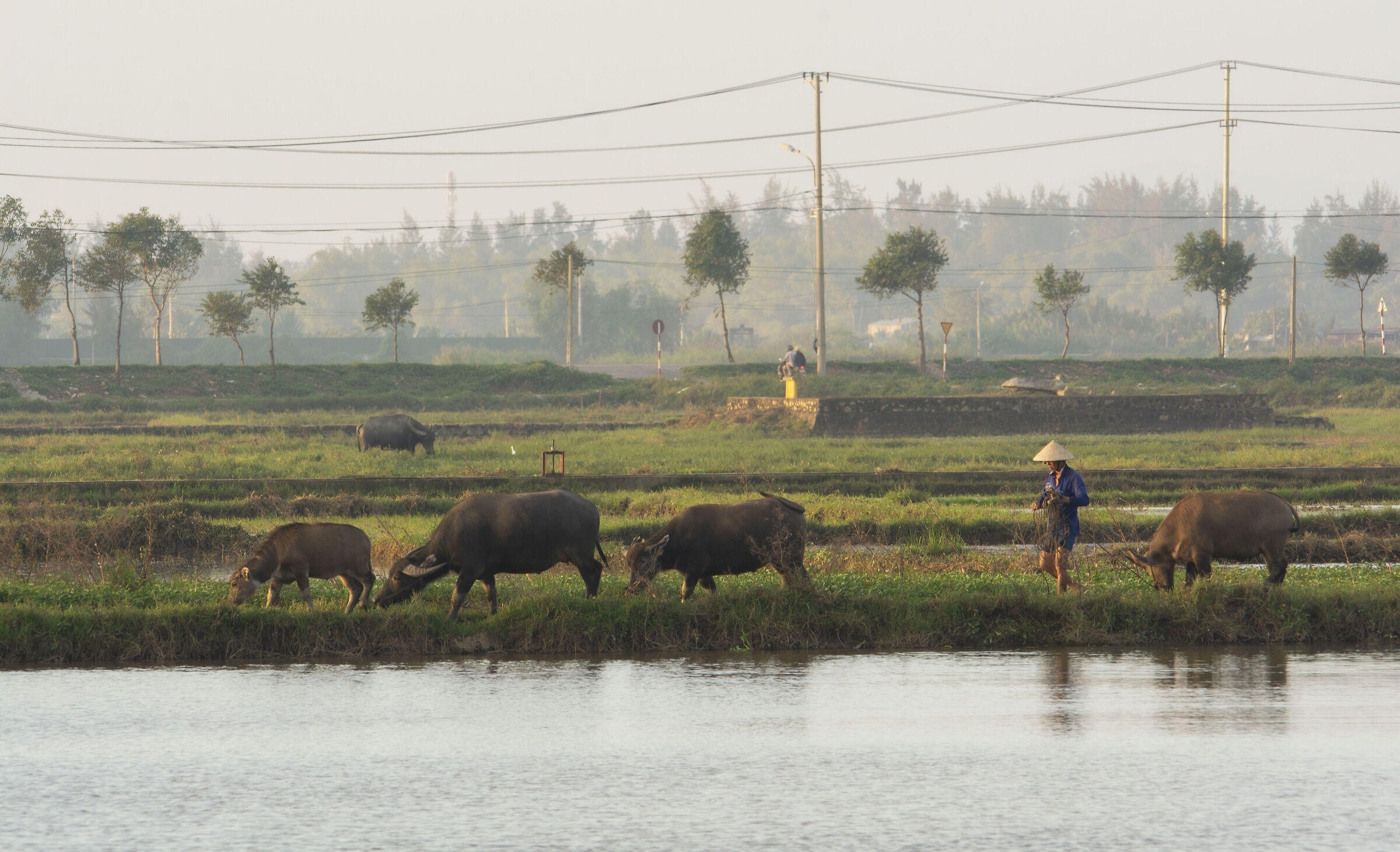 Countryside life - Vietnam