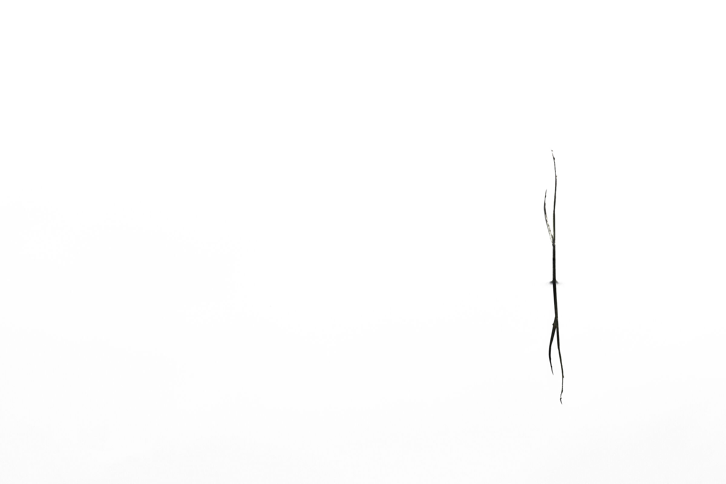 Fluctuations and interactions #14