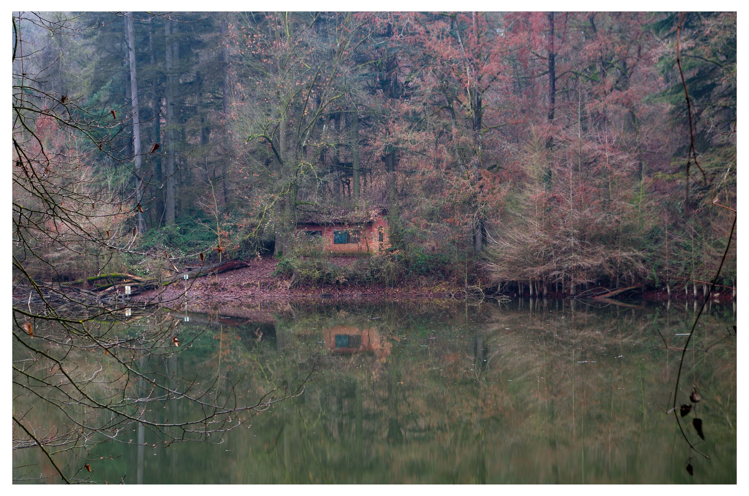 The house in the woods