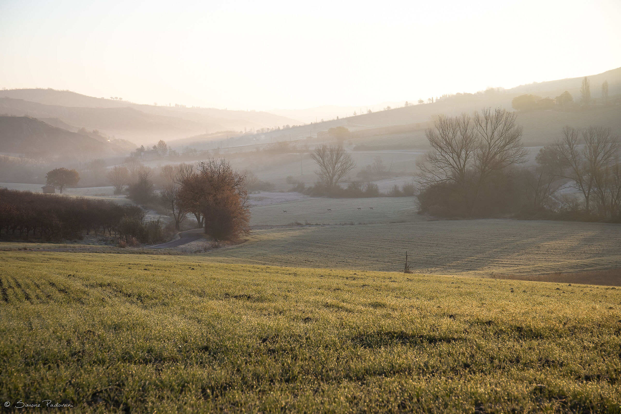 Gelo in Pieve Sant'Andrea