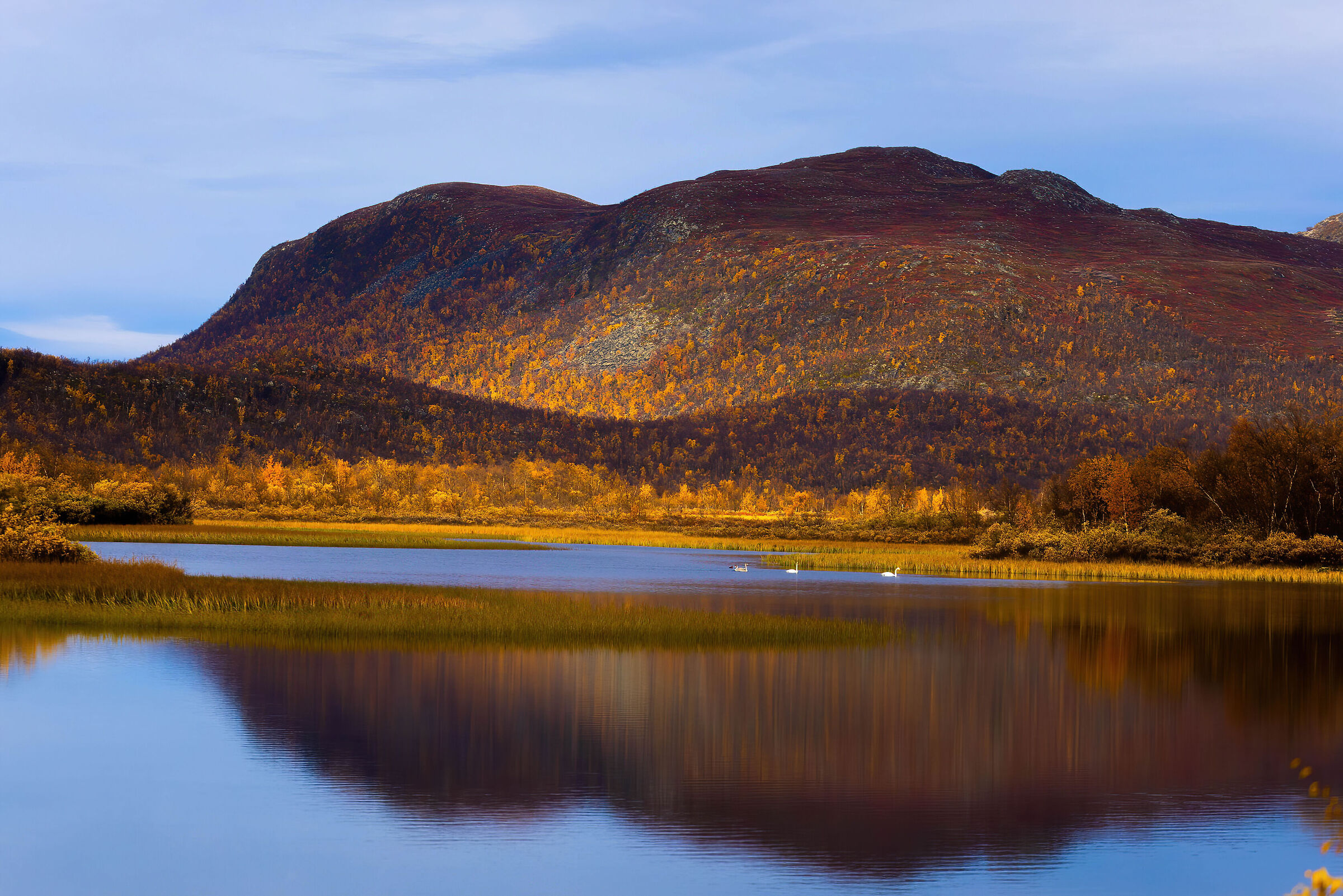 Autumn in Lapland