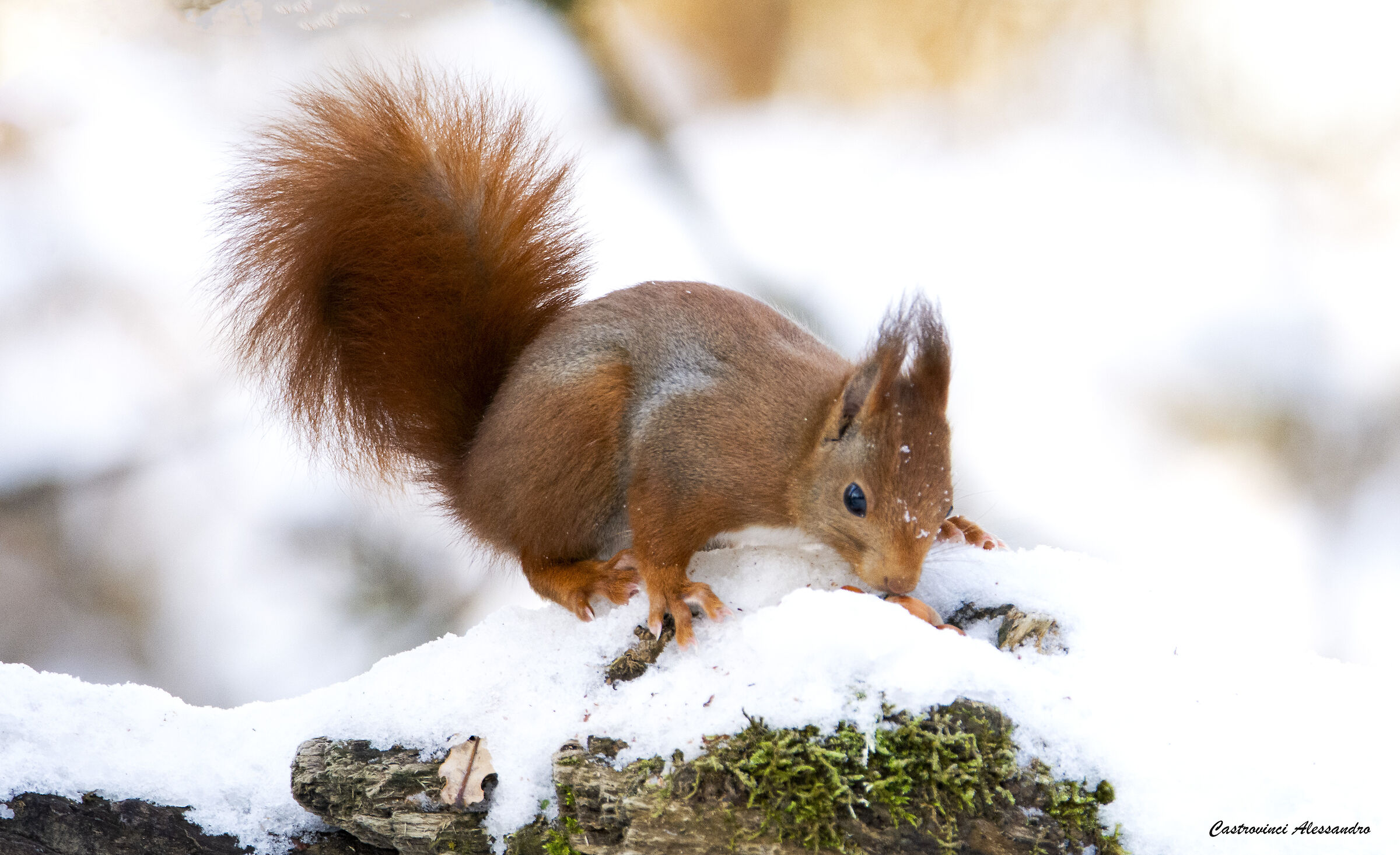 Who you search for finds