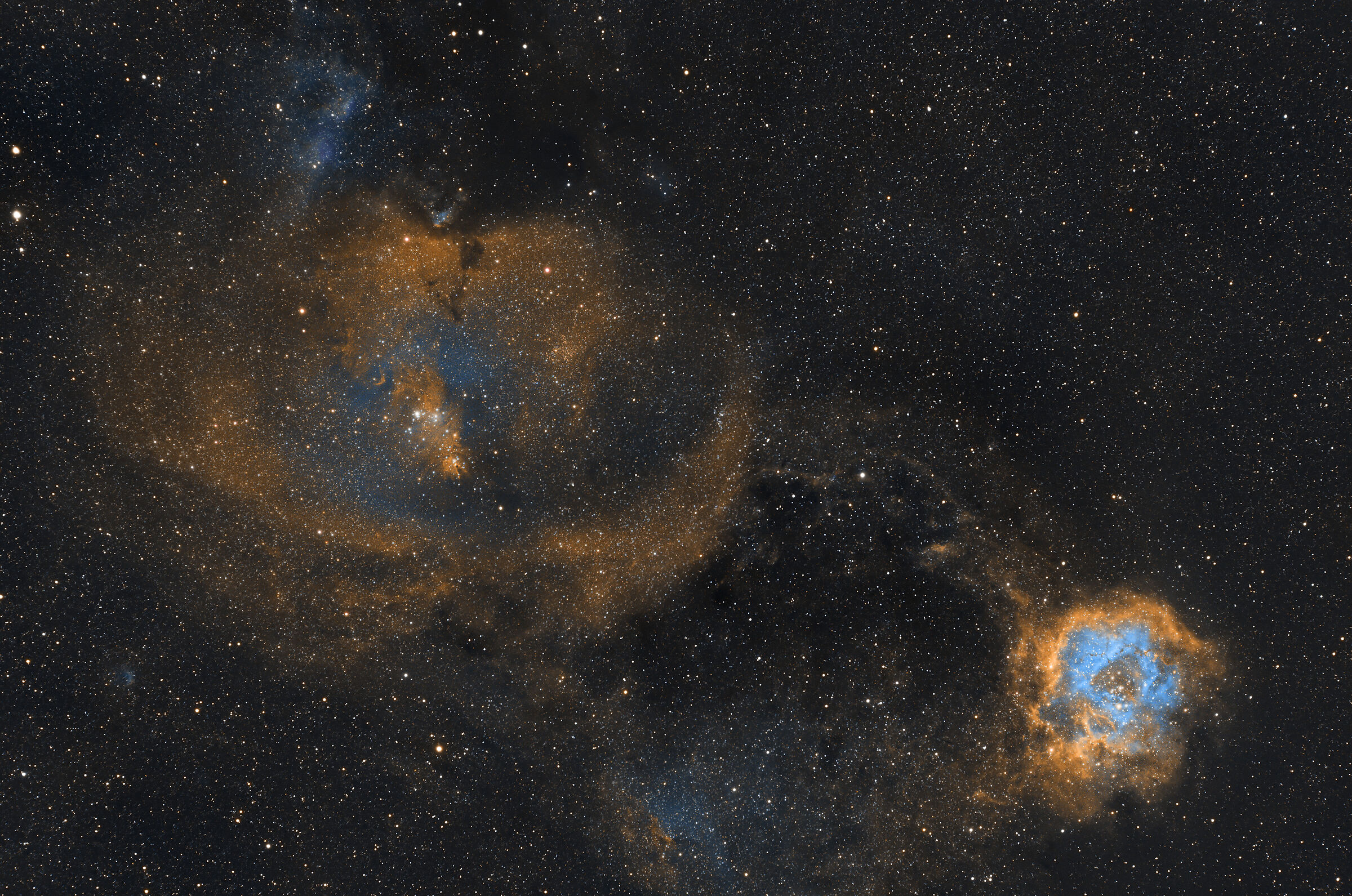 Complesso nebuloso molecolare OB1 e Rosetta