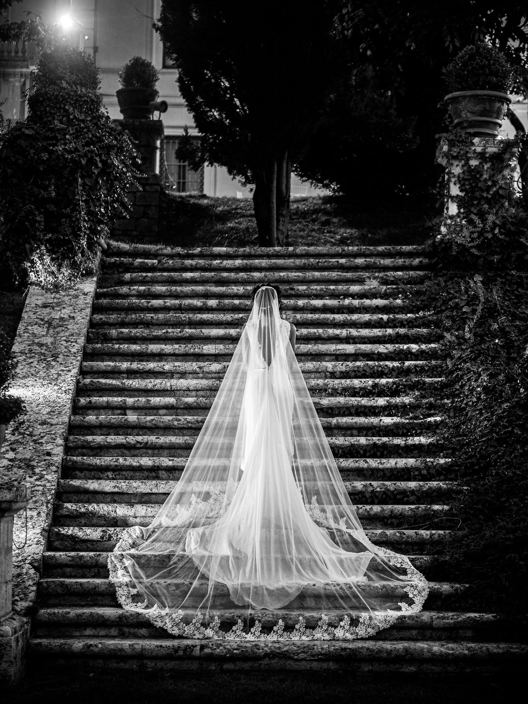 The mystery of life lies in the search for beauty.