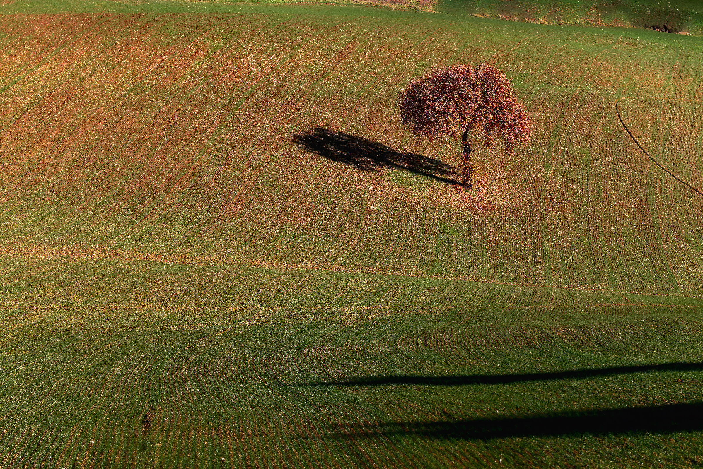 dintorni citta della pieve(pg)