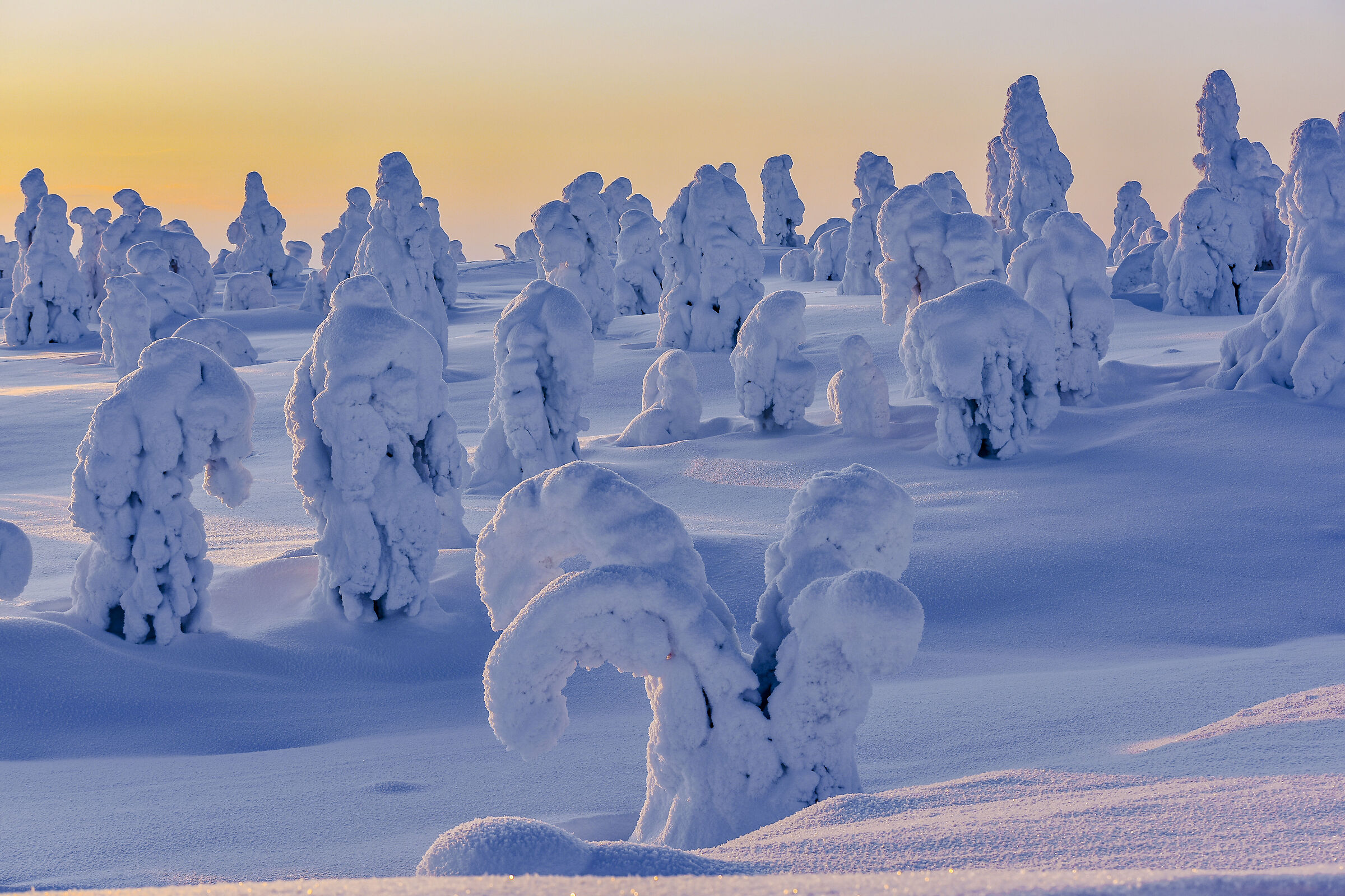 Finland - Riisitunturi