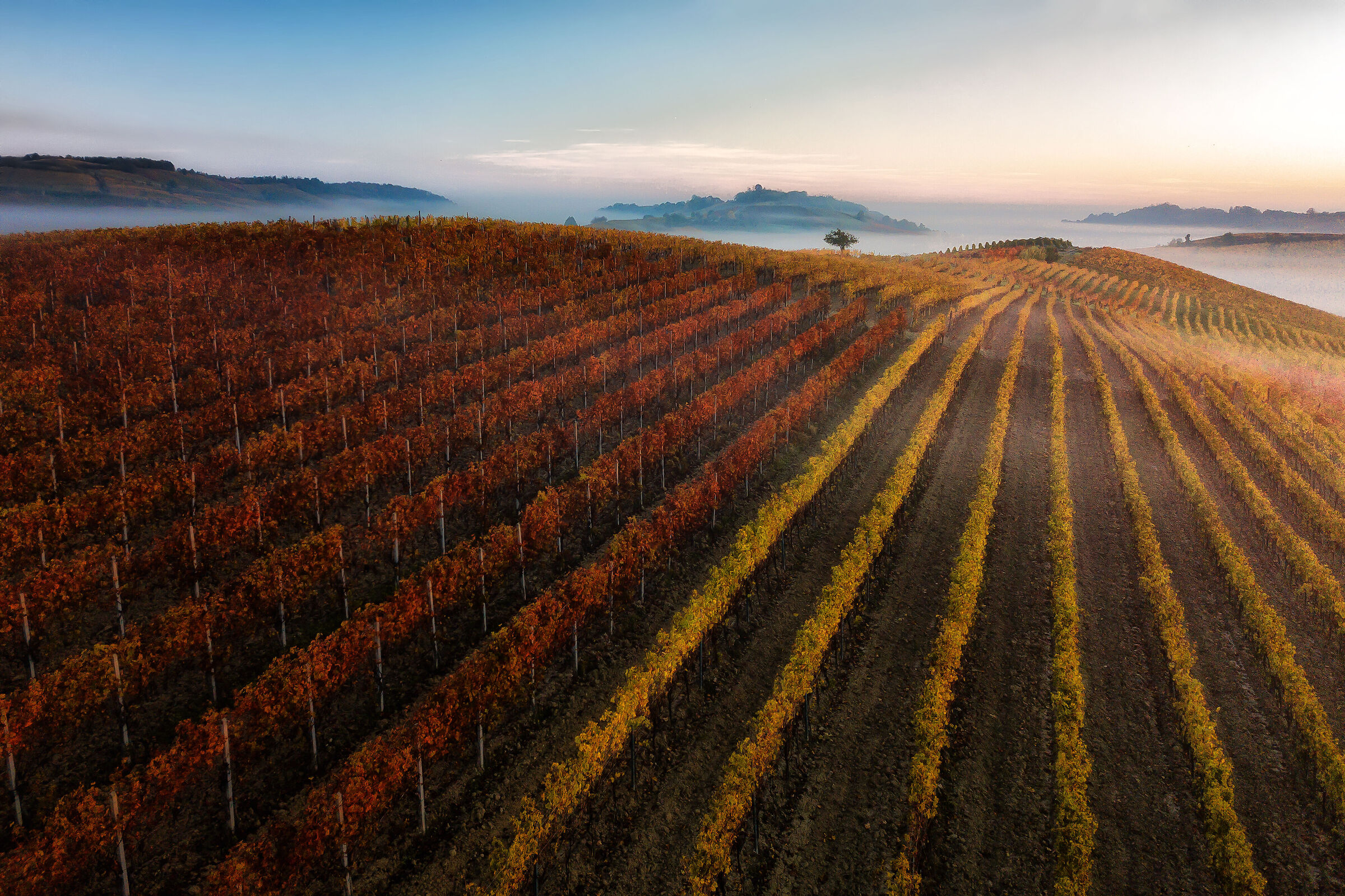 Sunrise in Monferrato