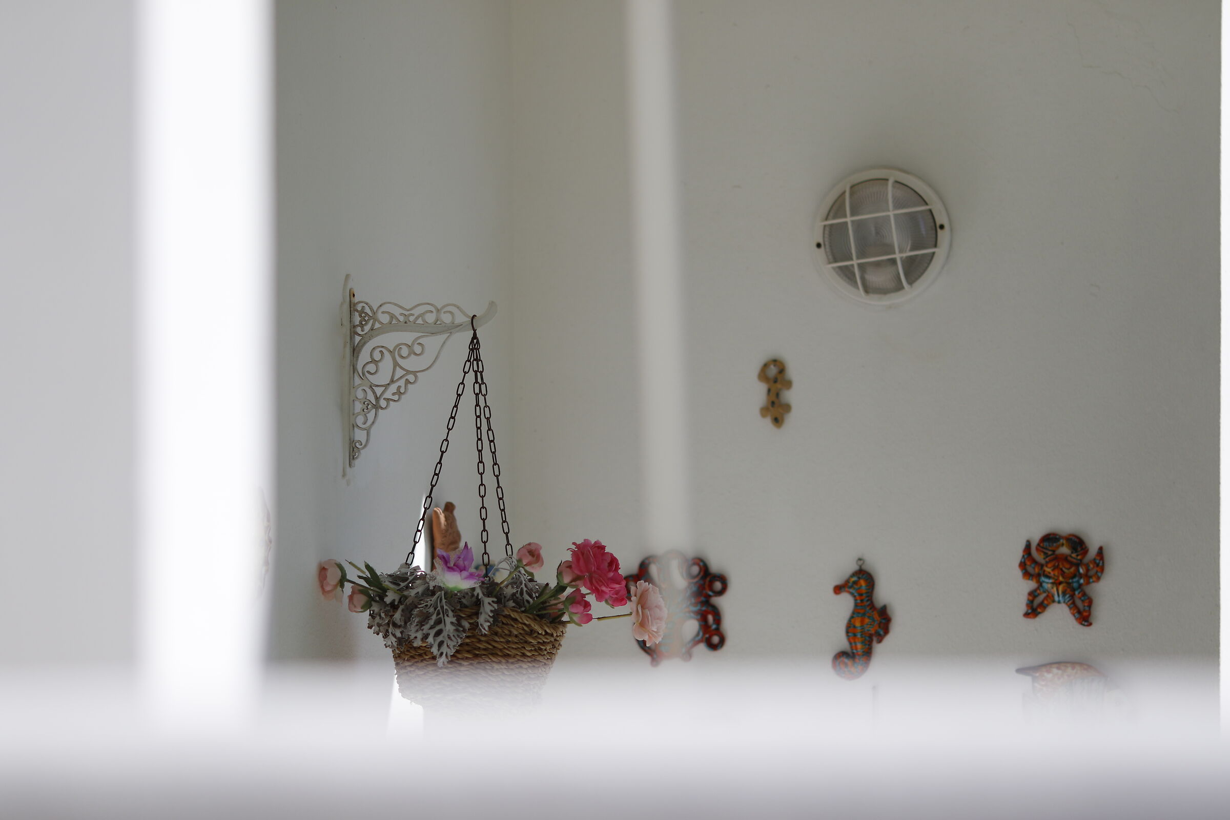 Canon 7D II / 135 F.2 L USM