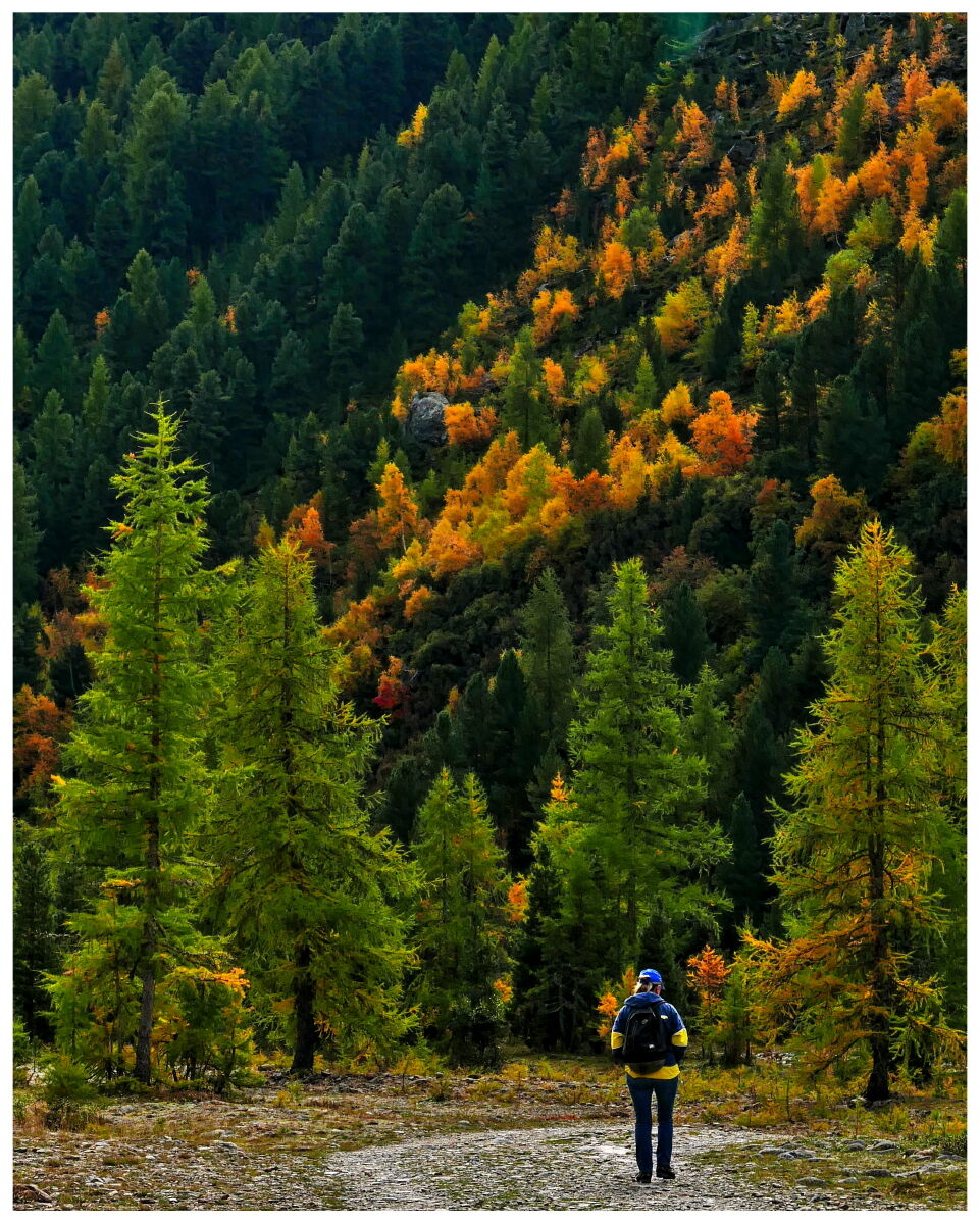 Vallelunga - Curon Venosta
