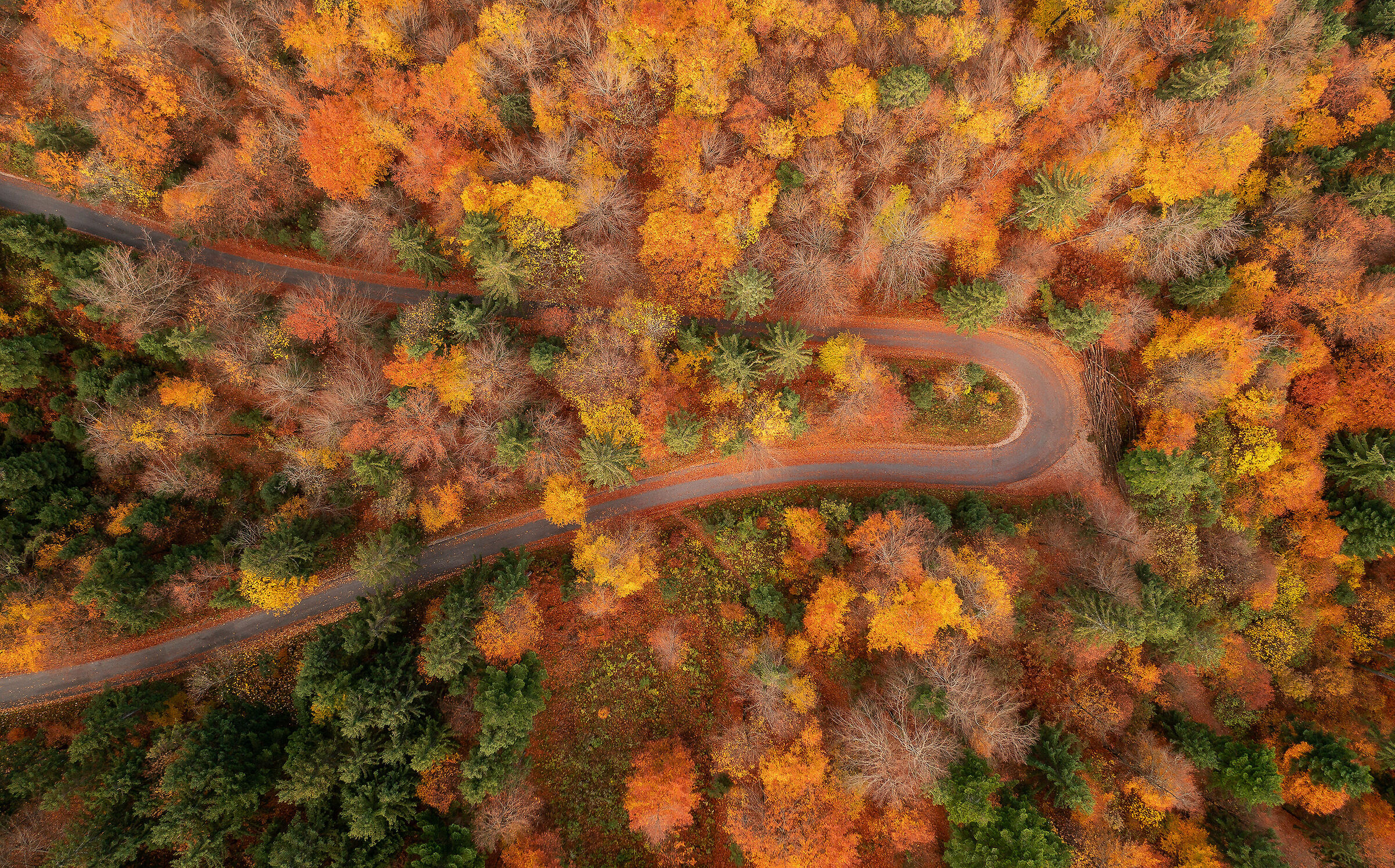 Curva autunnale