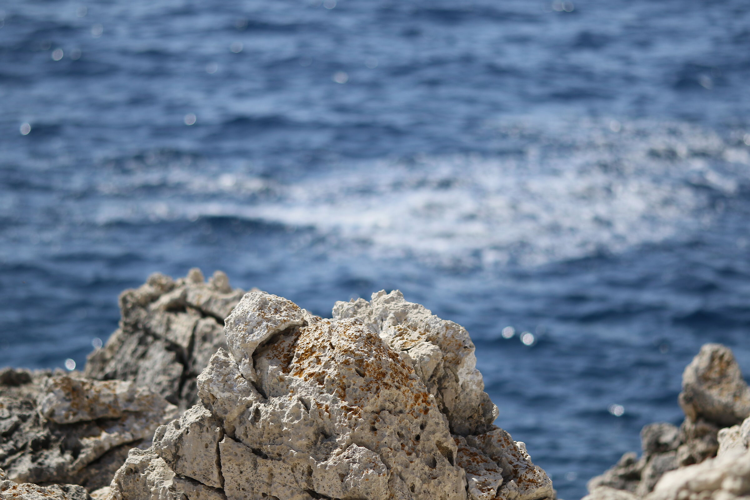Canon 7D II / 135 F.2 L USM