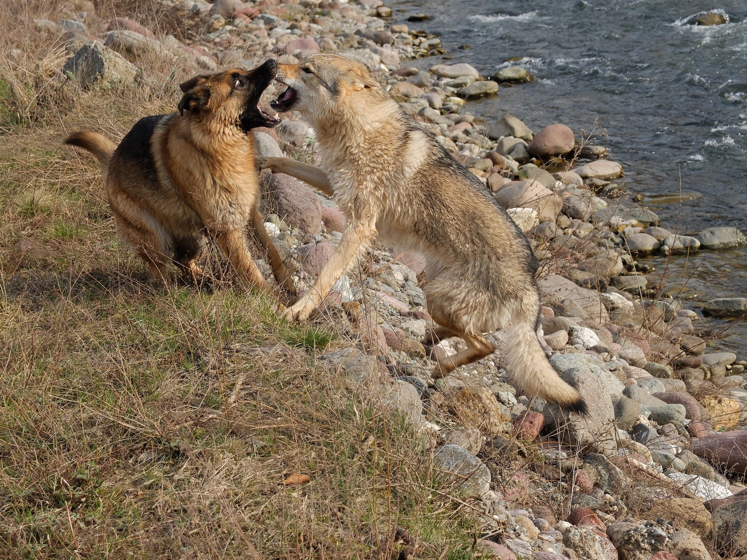 Gentilezze tra Tessa e Yuma