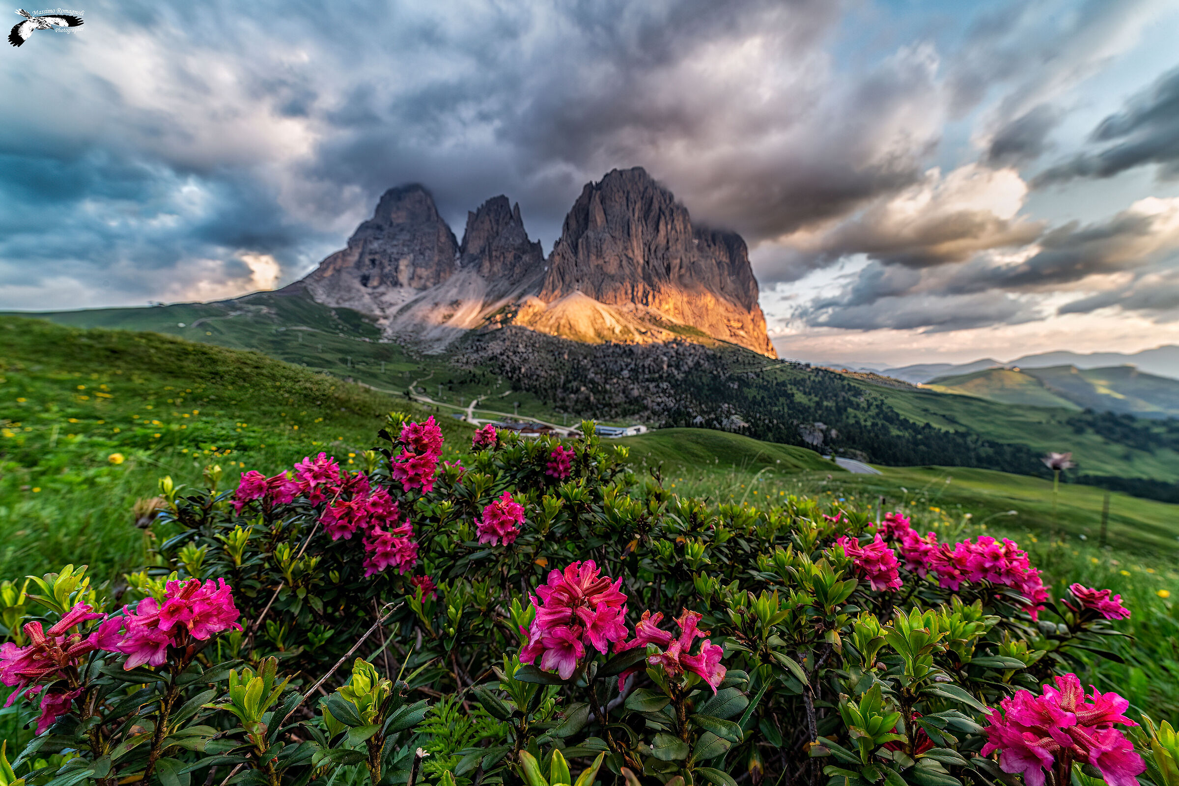 Rhododendrons to Passo Sella