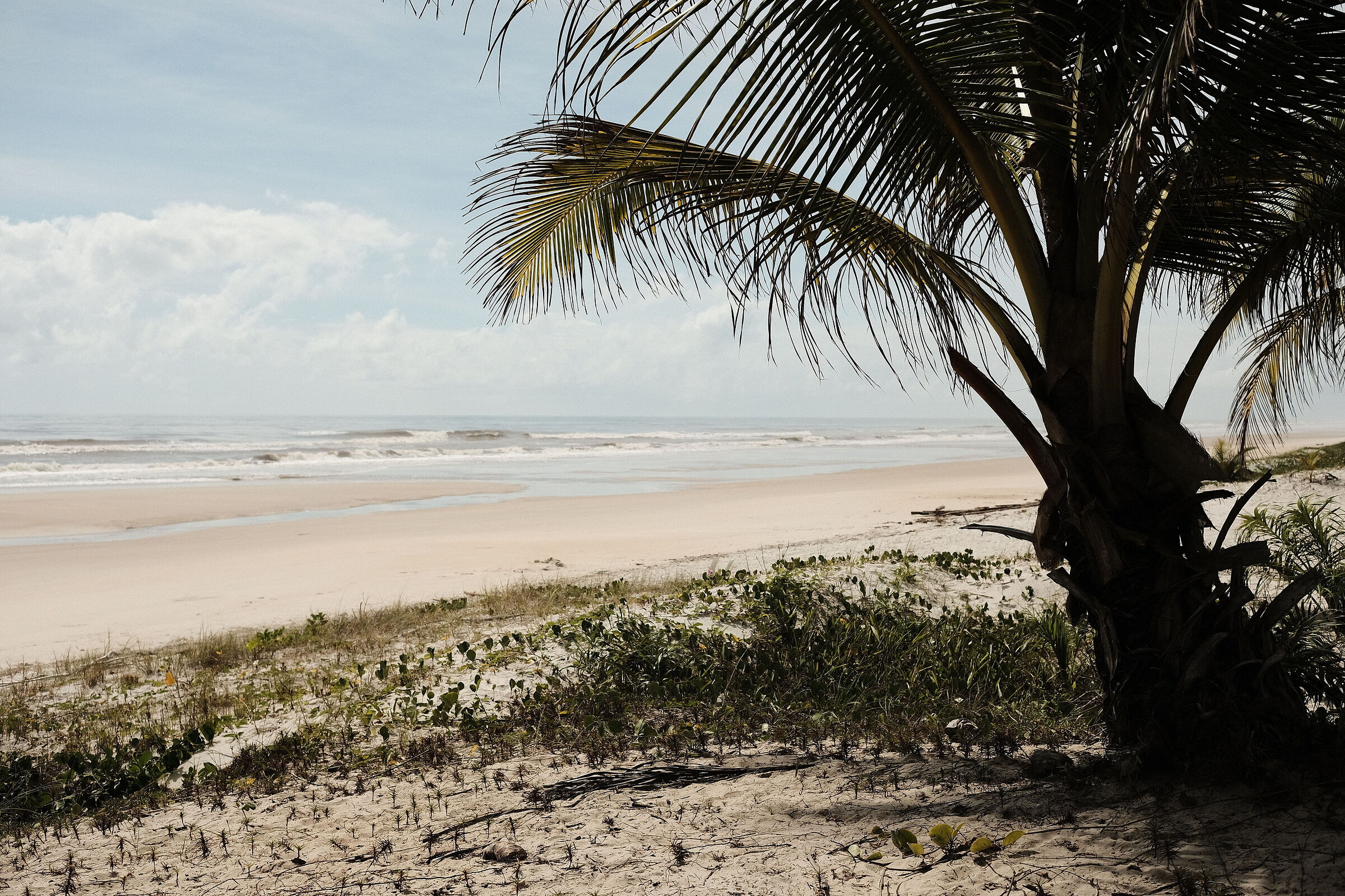 Deserted islands still exist