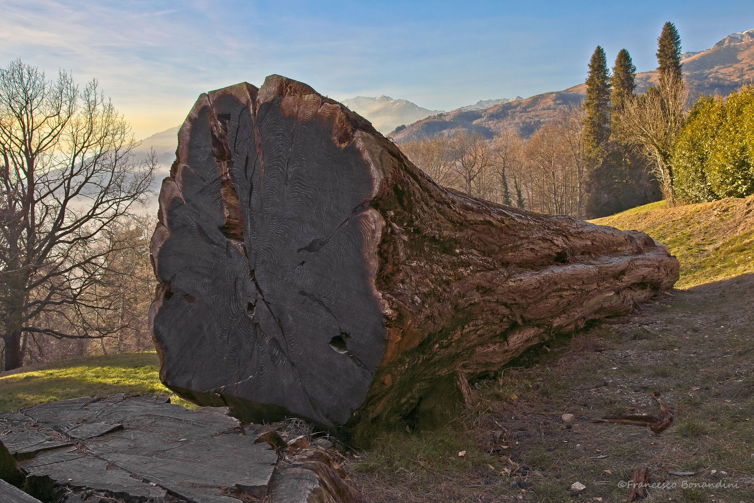 The fall of the giant