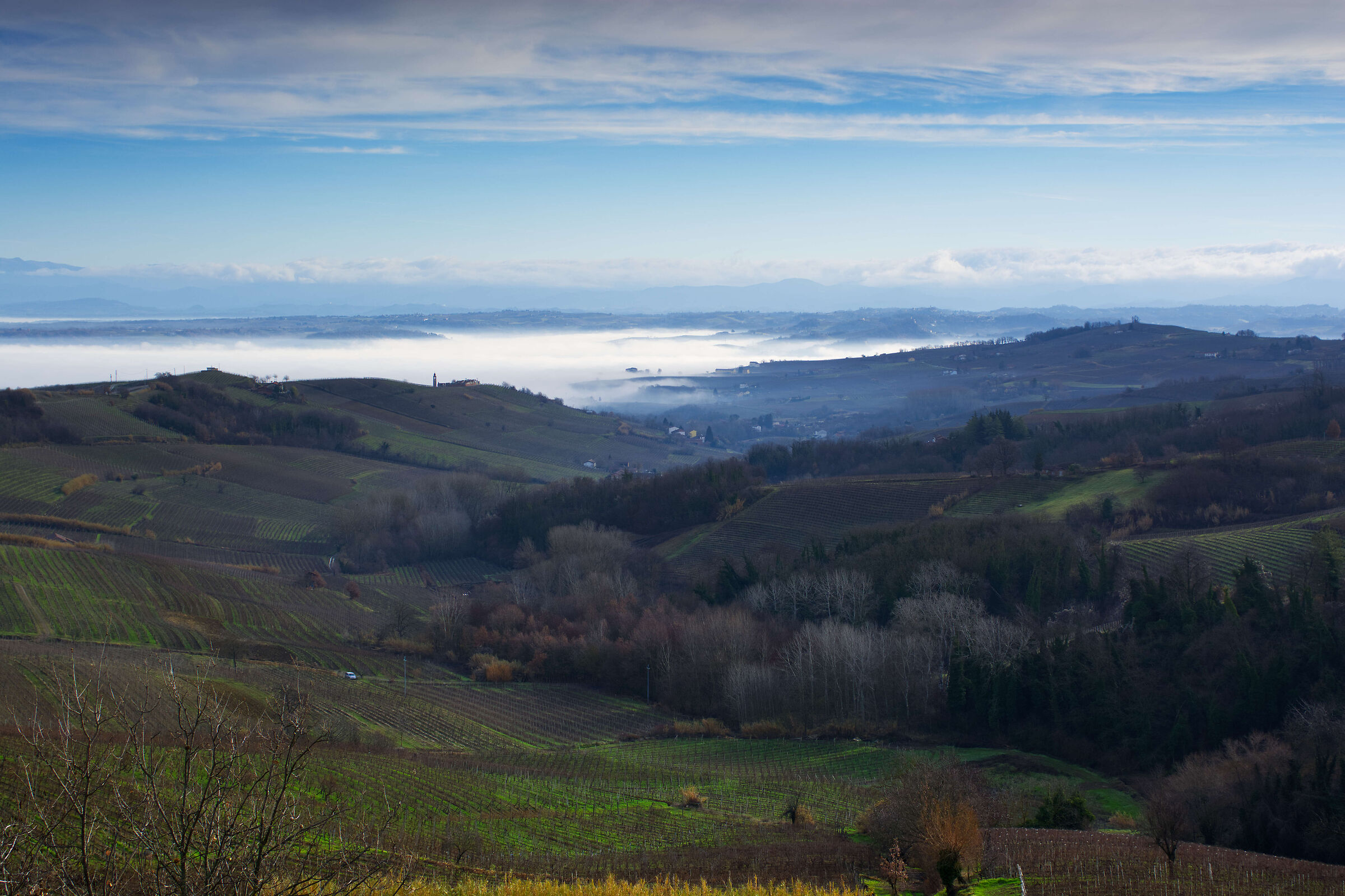 Lower Monferrato
