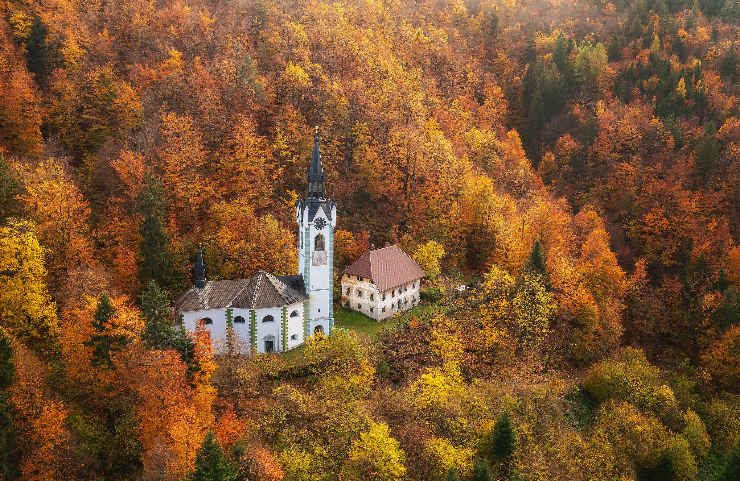 Cathedral in the forest