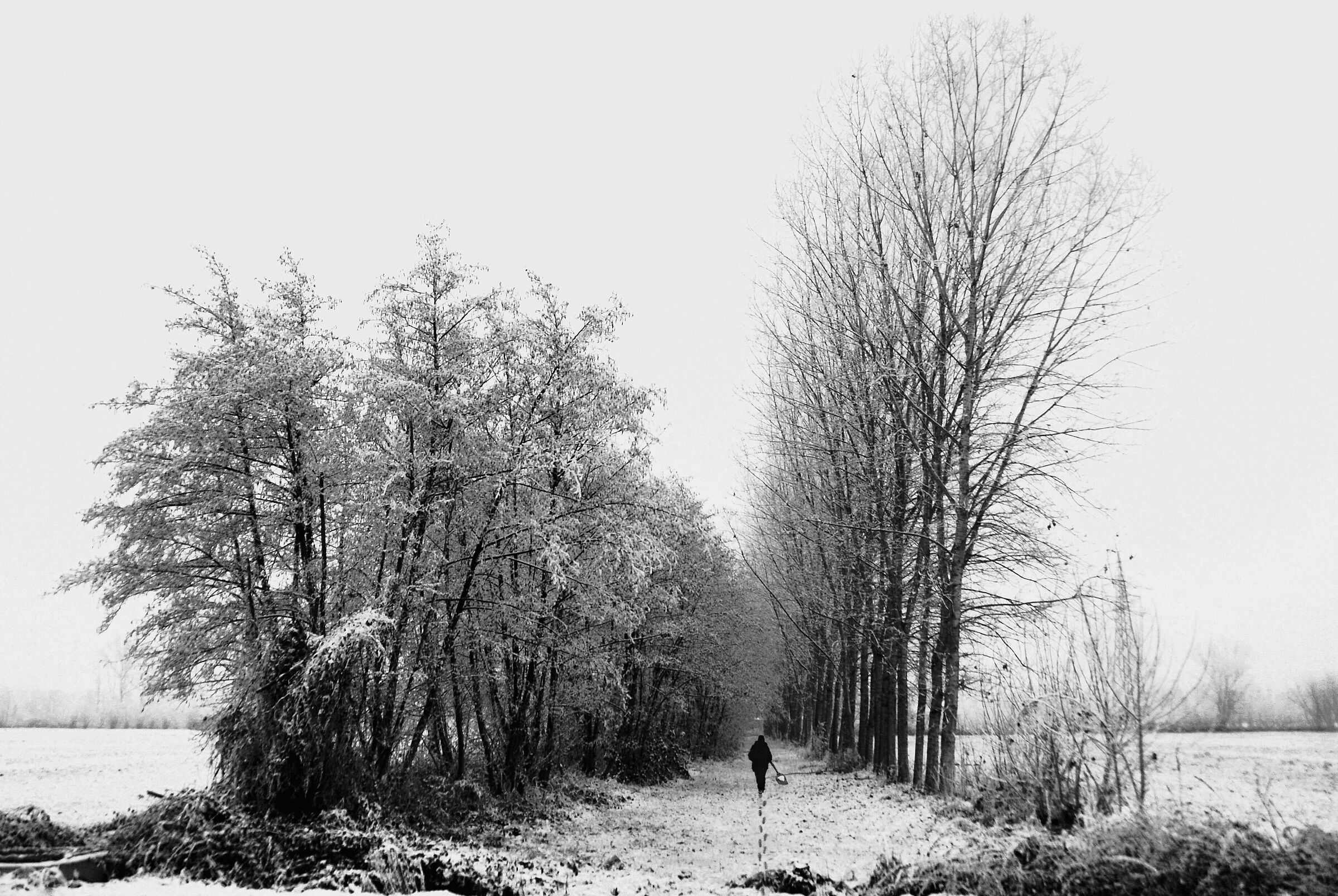 Here I am, very punctual!