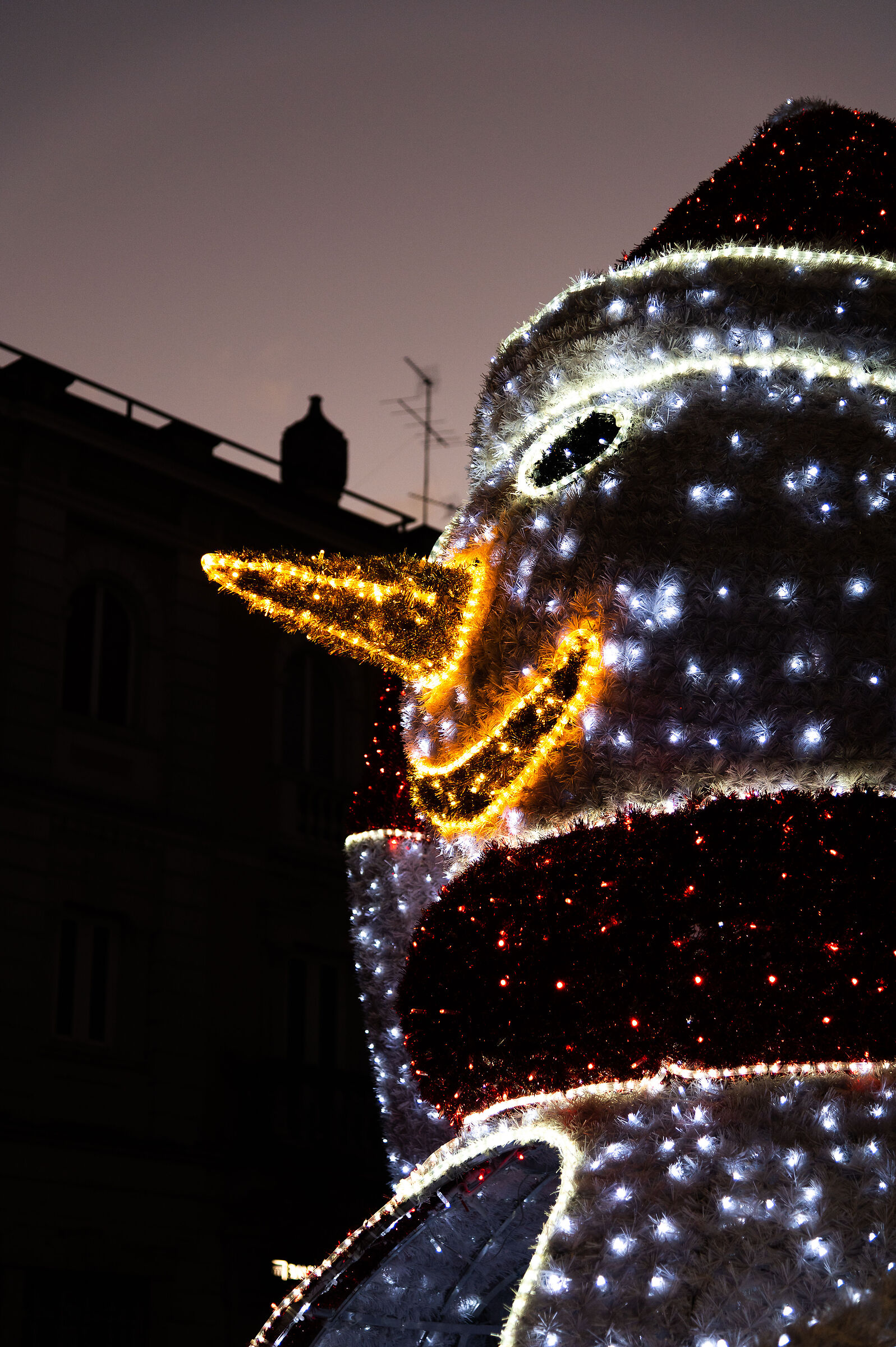 Christmas lights