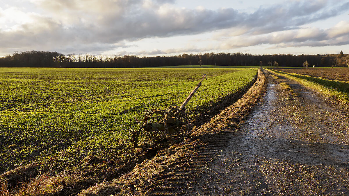 The road
