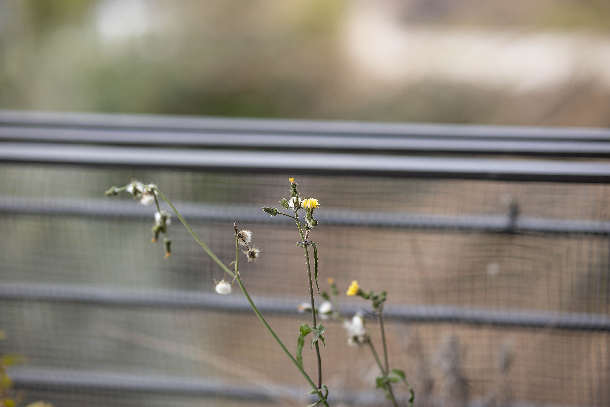 Viltro with slight corrections