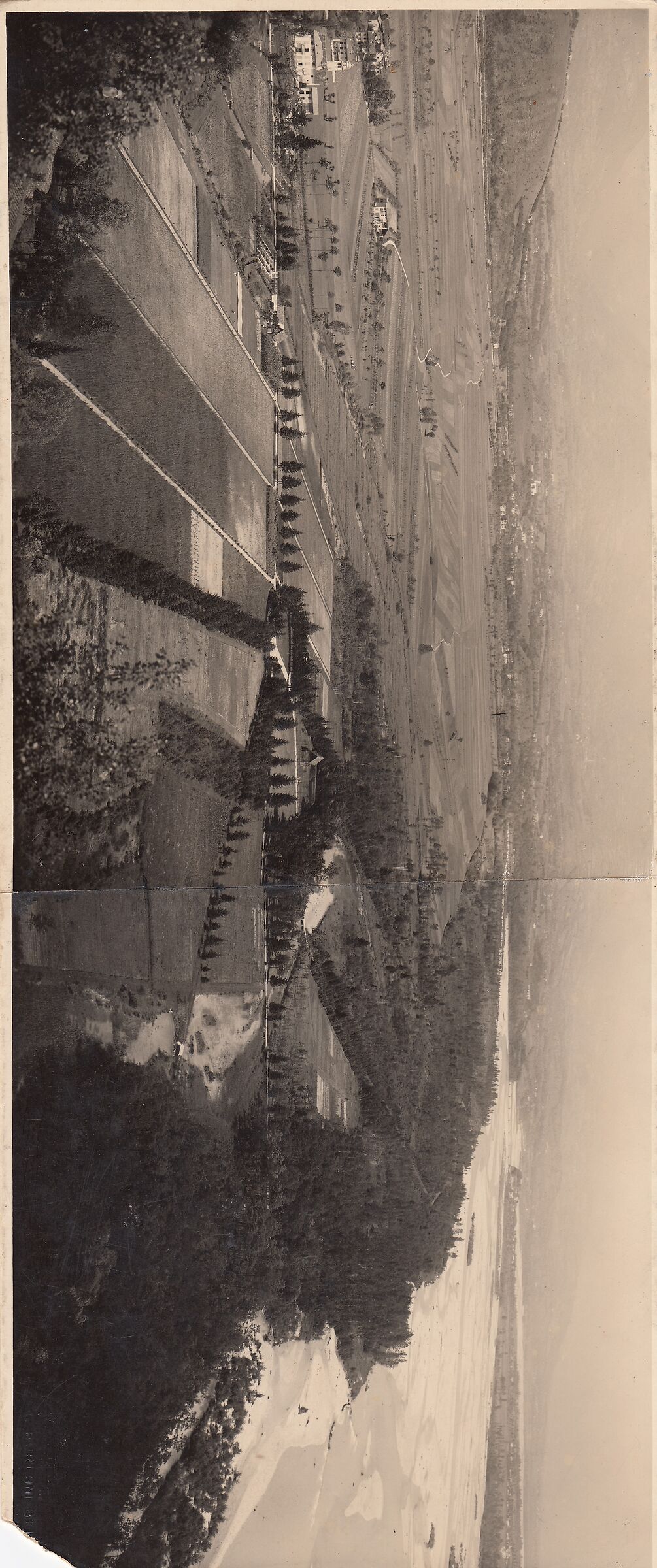 Il Vincheto di Celarda 1938 (archivio del Paese)