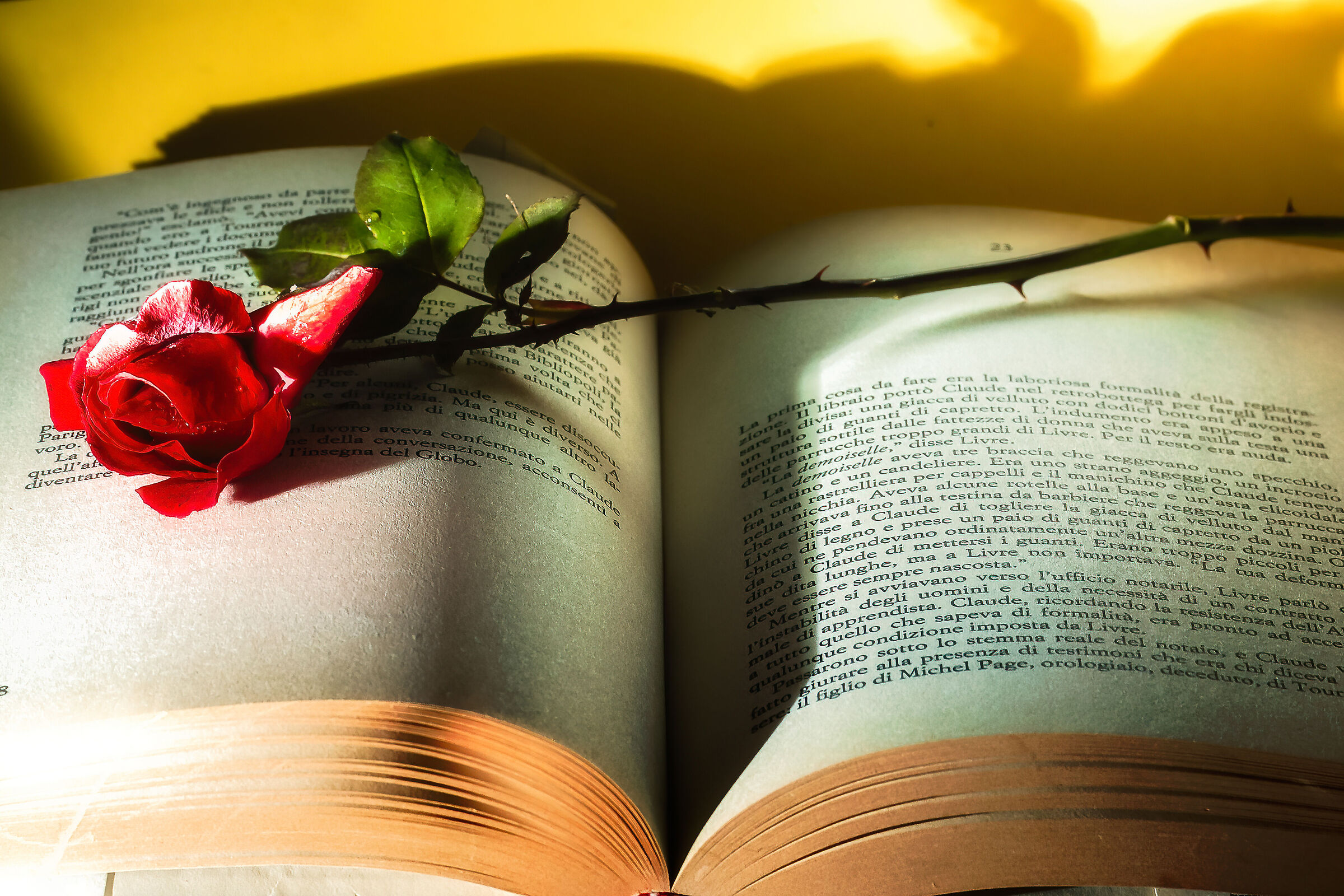 prova 2022 per passare tempo