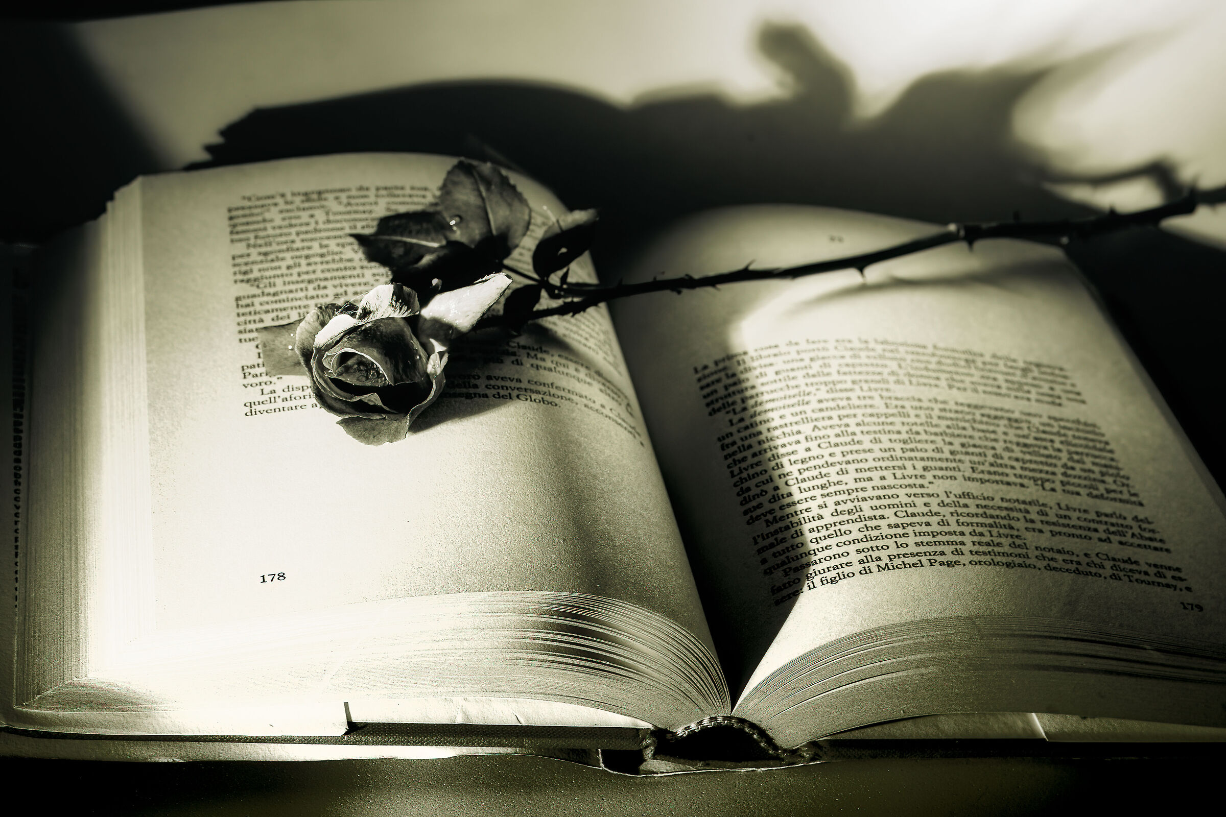 prova 2022/2 per passare tempo