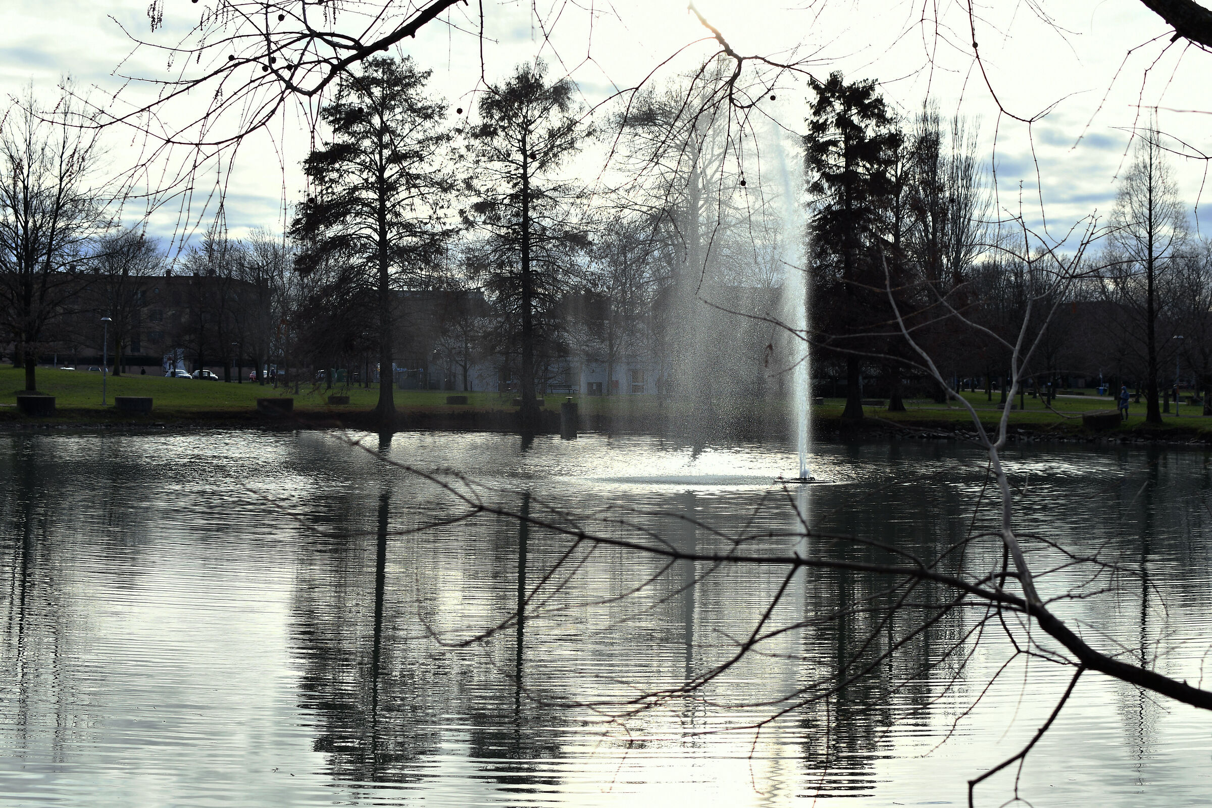 Amendola Park - Modena
