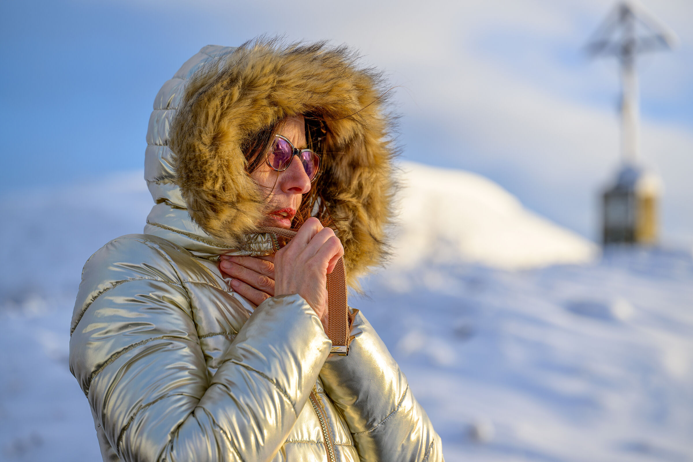 nikon z9 | freddo inverno