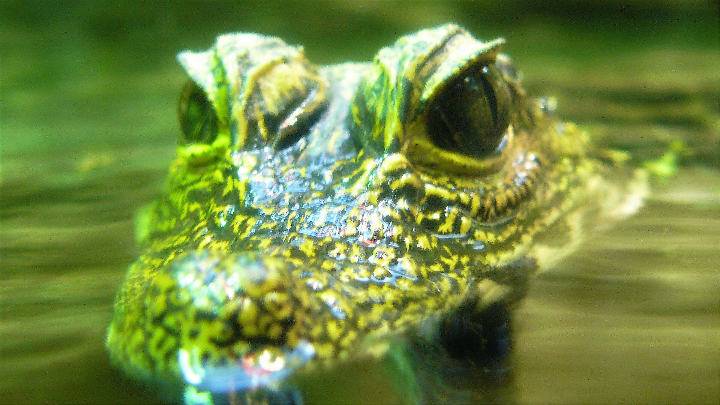 I keep an eye on you