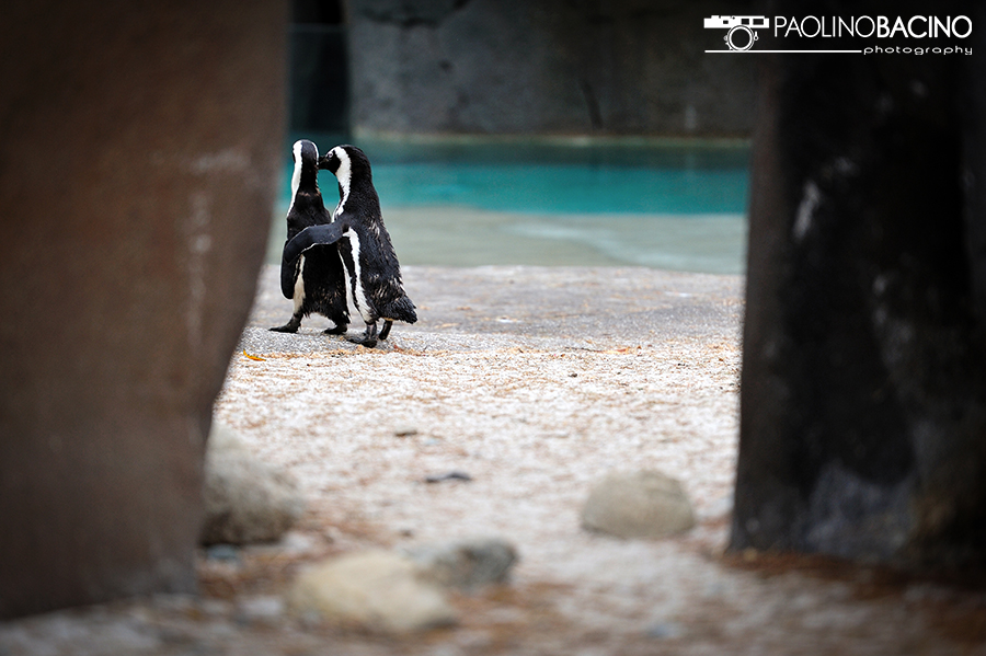 Ti porto in un posticino.....