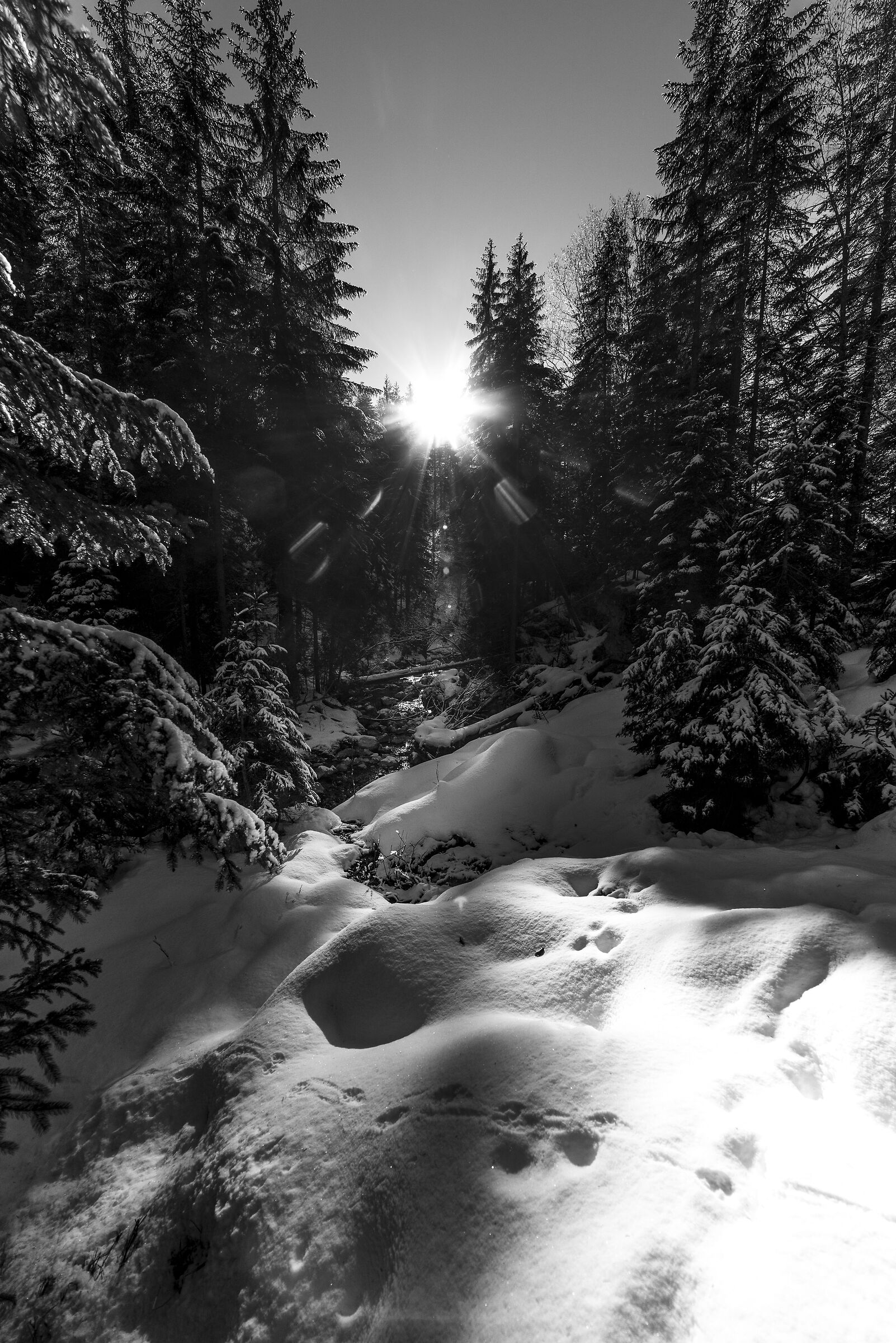 Middle Waterfalls, 2